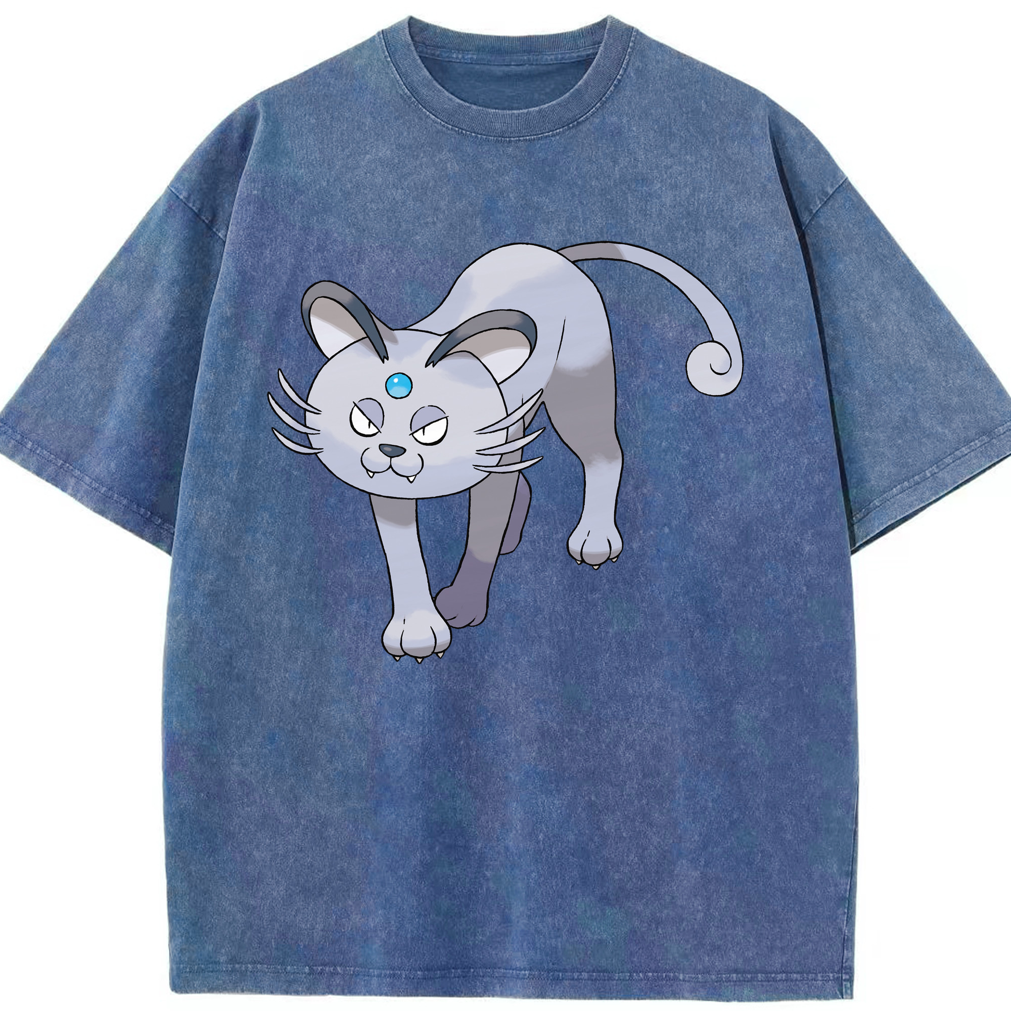 （画像用） ポケットモンスター Pokémon 綿100% ヴィンテージ風 半袖Tシャツ（フロントプリント）