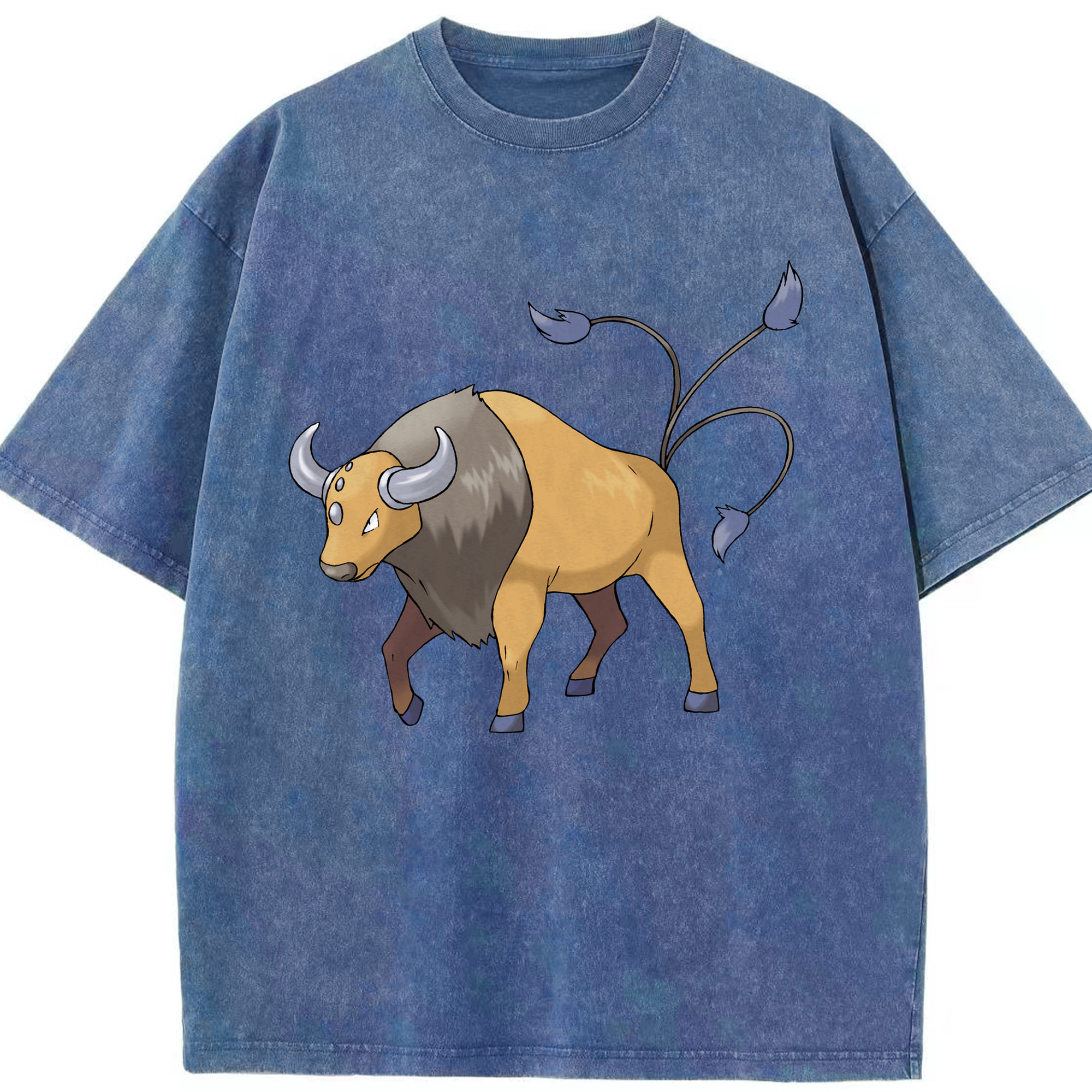 （画像用） ポケットモンスター Pokémon 綿100% ヴィンテージ風 半袖Tシャツ（フロントプリント）