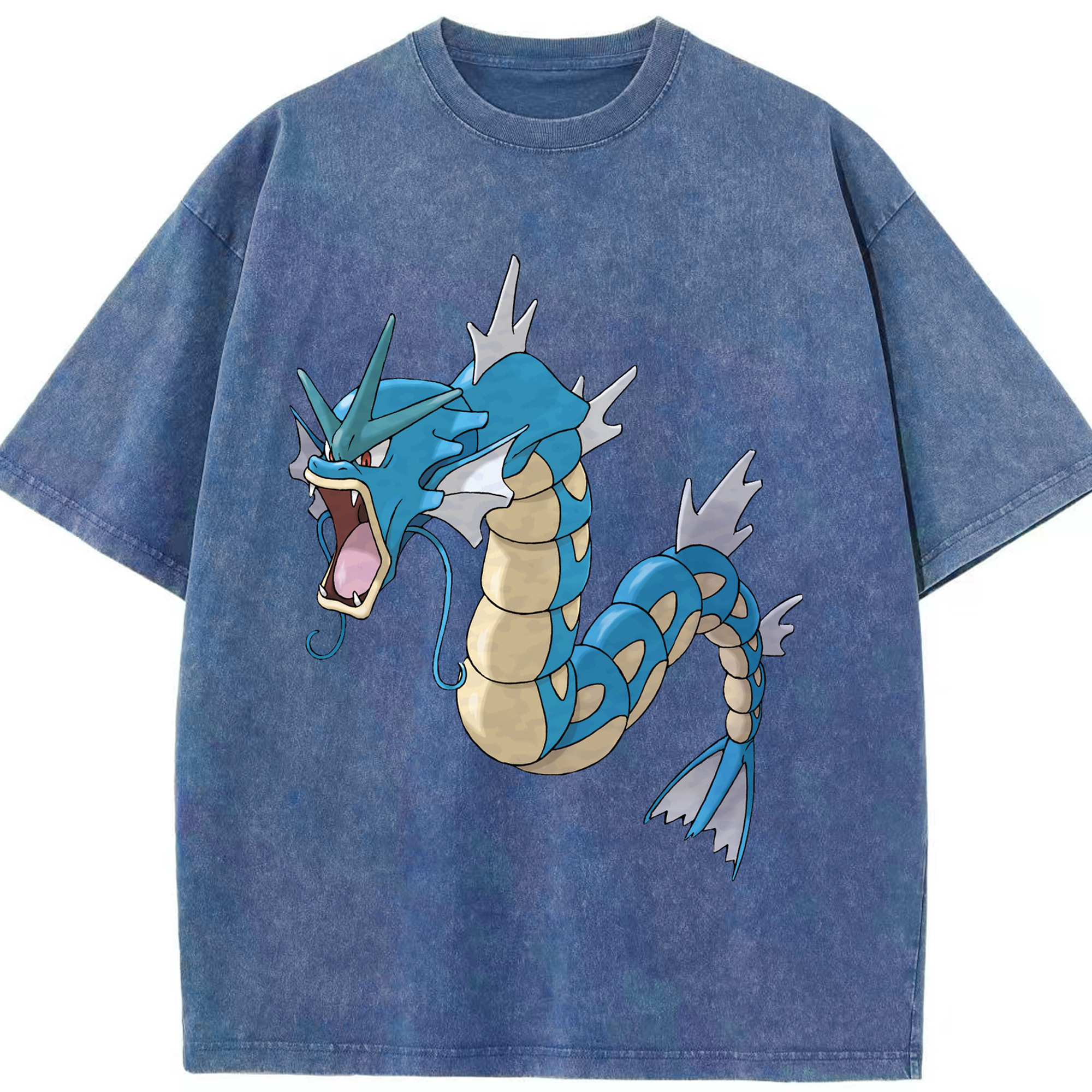 （画像用） ポケットモンスター Pokémon 綿100% ヴィンテージ風 半袖Tシャツ（フロントプリント）