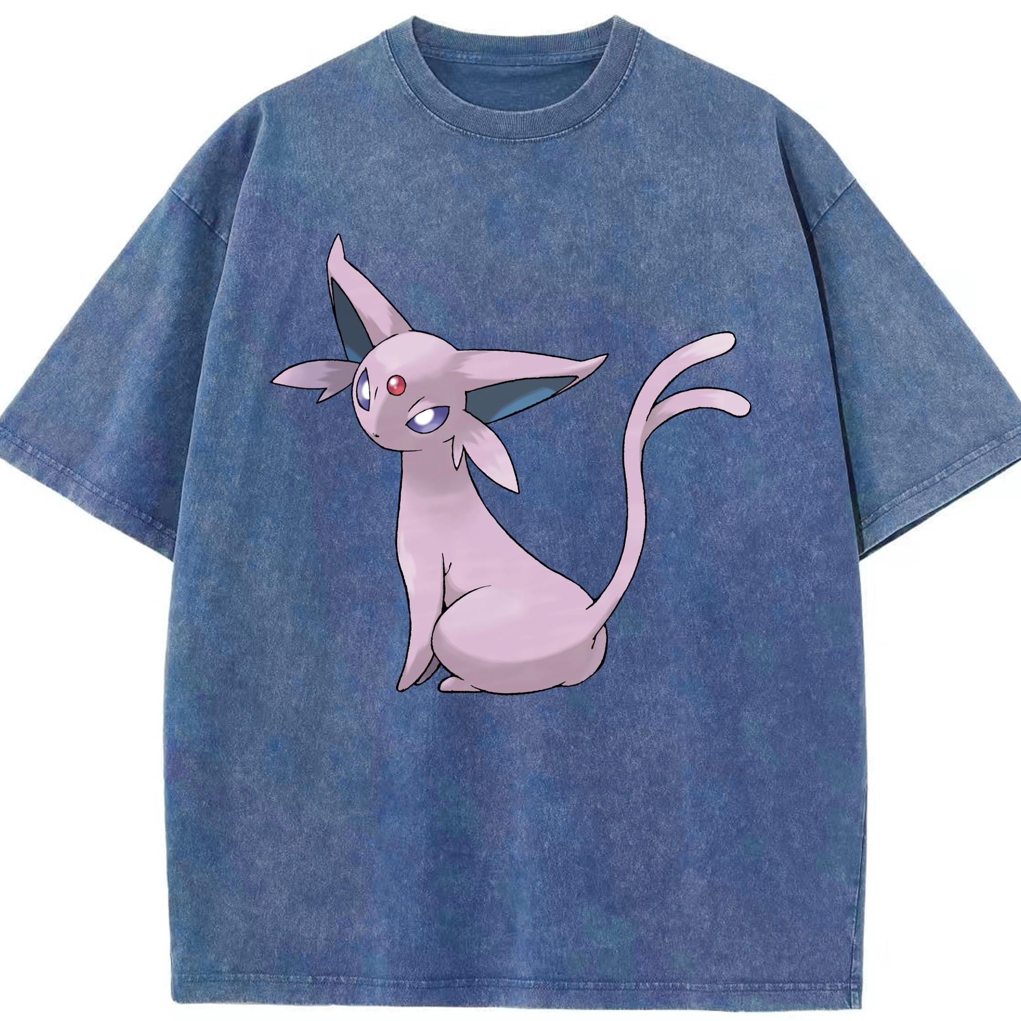 （画像用） ポケットモンスター Pokémon 綿100% ヴィンテージ風 半袖Tシャツ（フロントプリント）