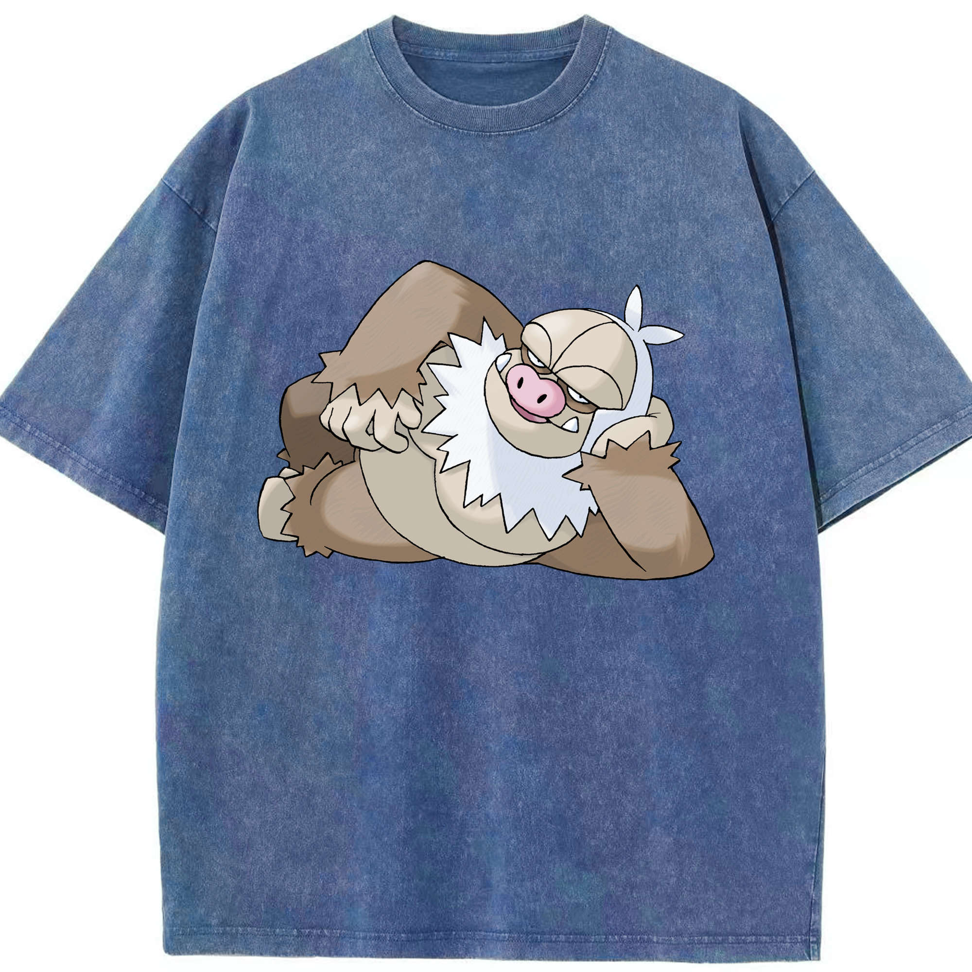 （画像用） ポケットモンスター Pokémon 綿100% ヴィンテージ風 半袖Tシャツ（フロントプリント）