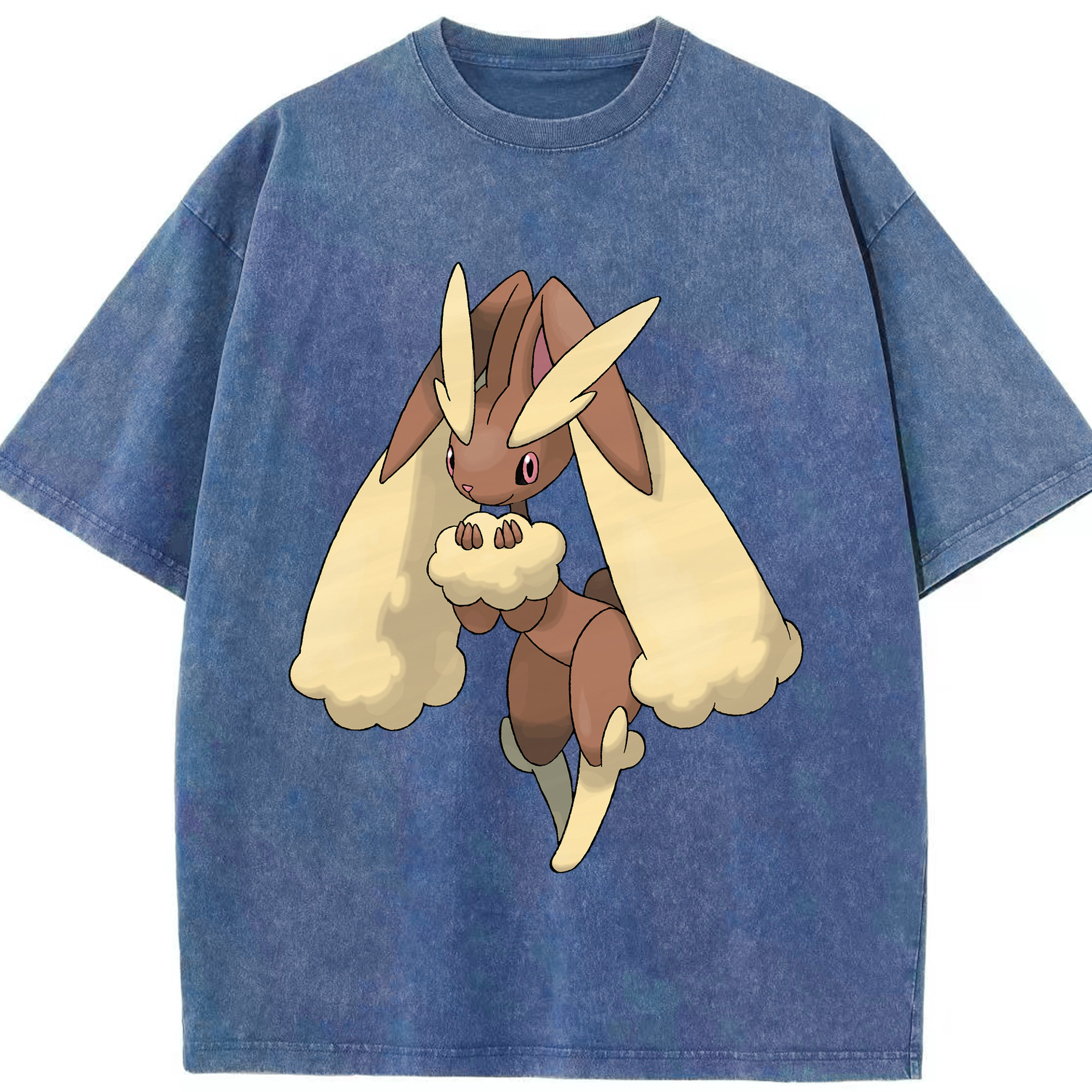 （画像用） ポケットモンスター Pokémon 綿100% ヴィンテージ風 半袖Tシャツ（フロントプリント）
