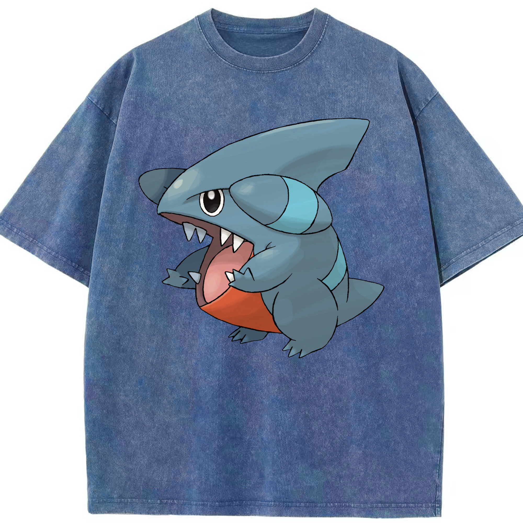 （画像用） ポケットモンスター Pokémon 綿100% ヴィンテージ風 半袖Tシャツ（フロントプリント）