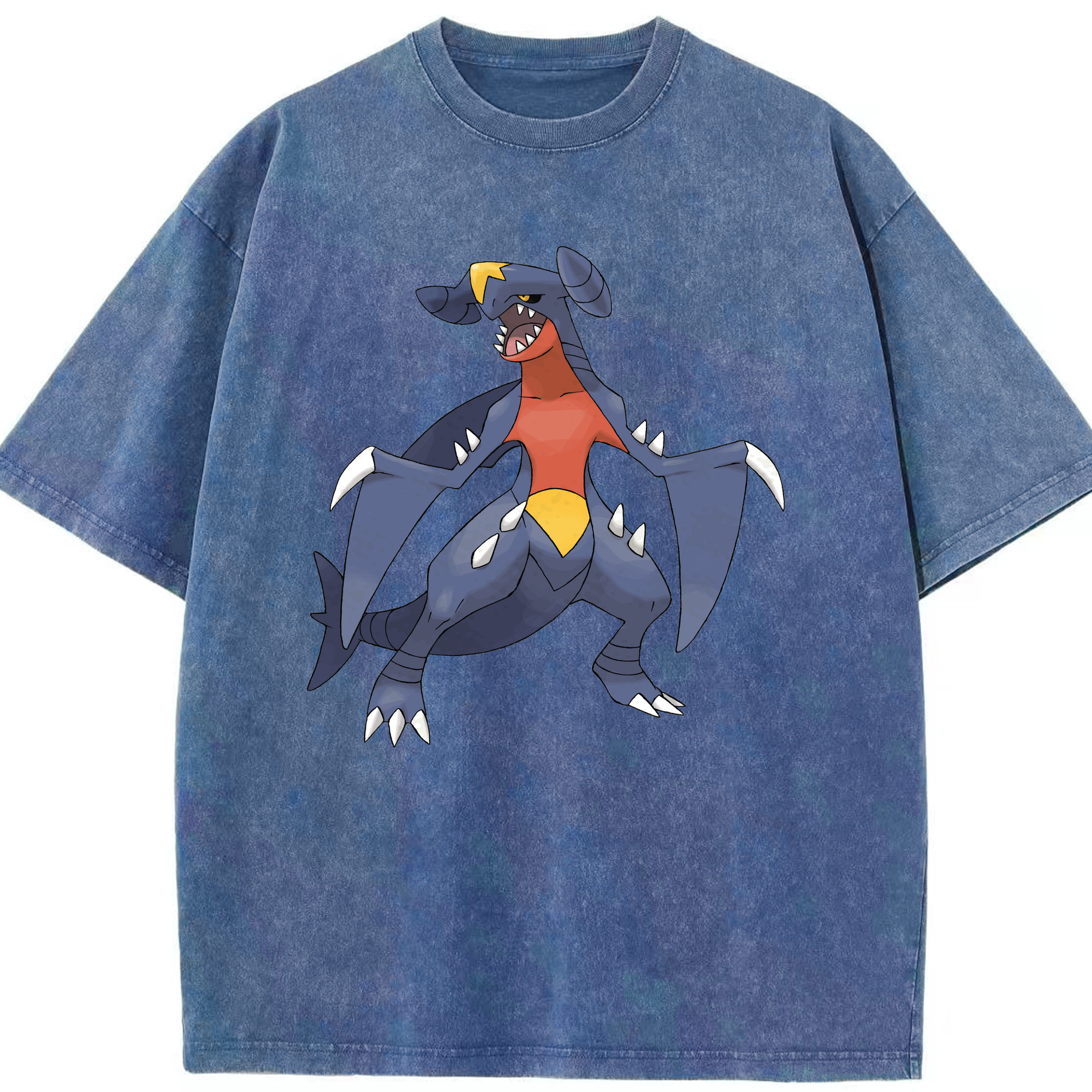 （画像用） ポケットモンスター Pokémon 綿100% ヴィンテージ風 半袖Tシャツ（フロントプリント）