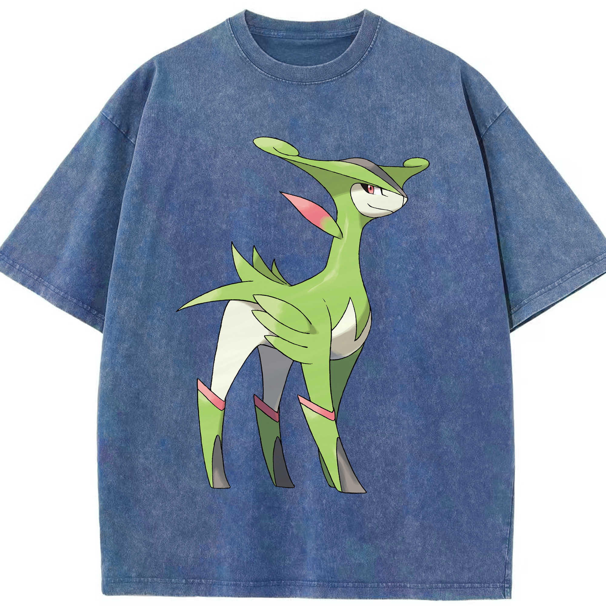 （画像用） ポケットモンスター Pokémon 綿100% ヴィンテージ風 半袖Tシャツ（フロントプリント）