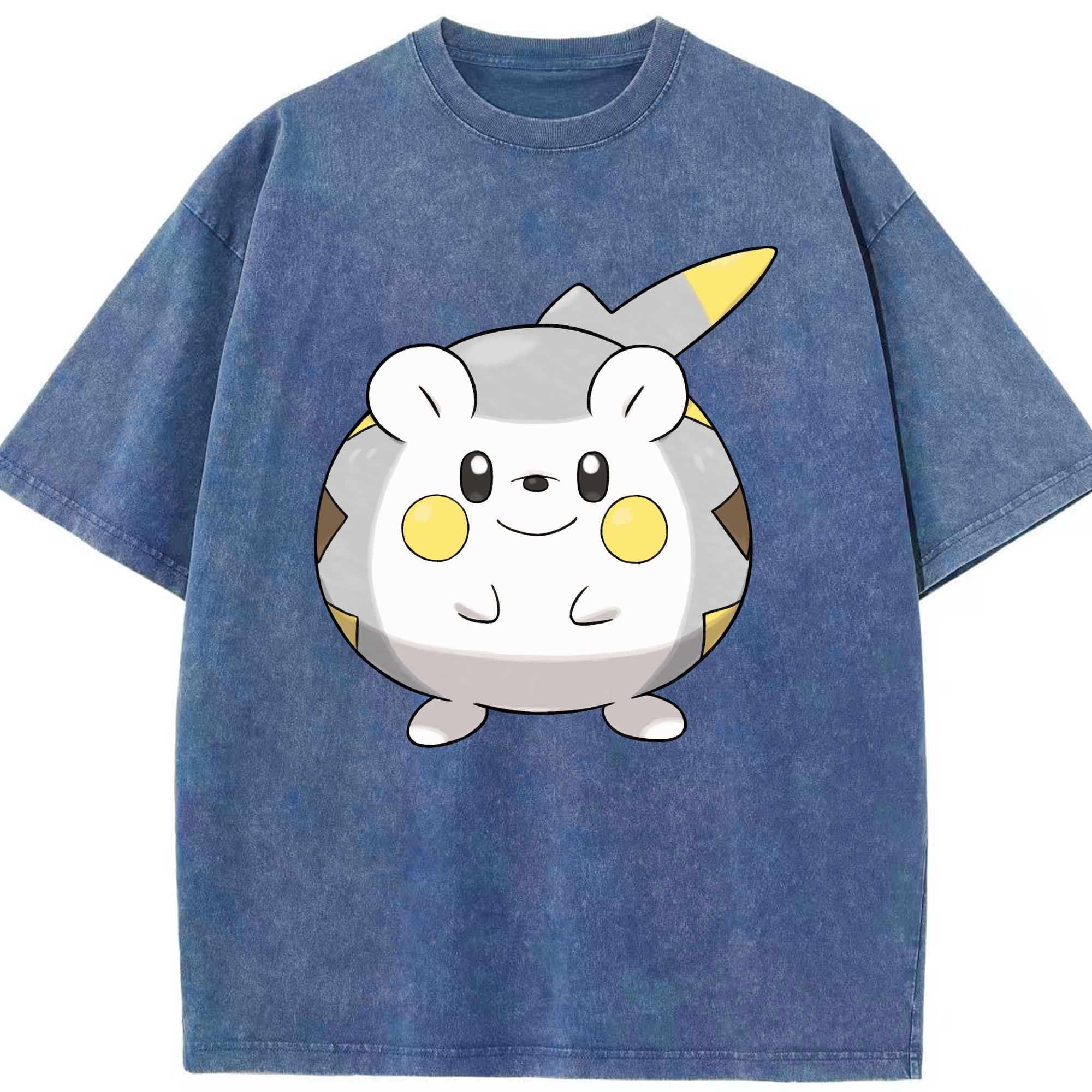 （画像用） ポケットモンスター Pokémon 綿100% ヴィンテージ風 半袖Tシャツ（フロントプリント）