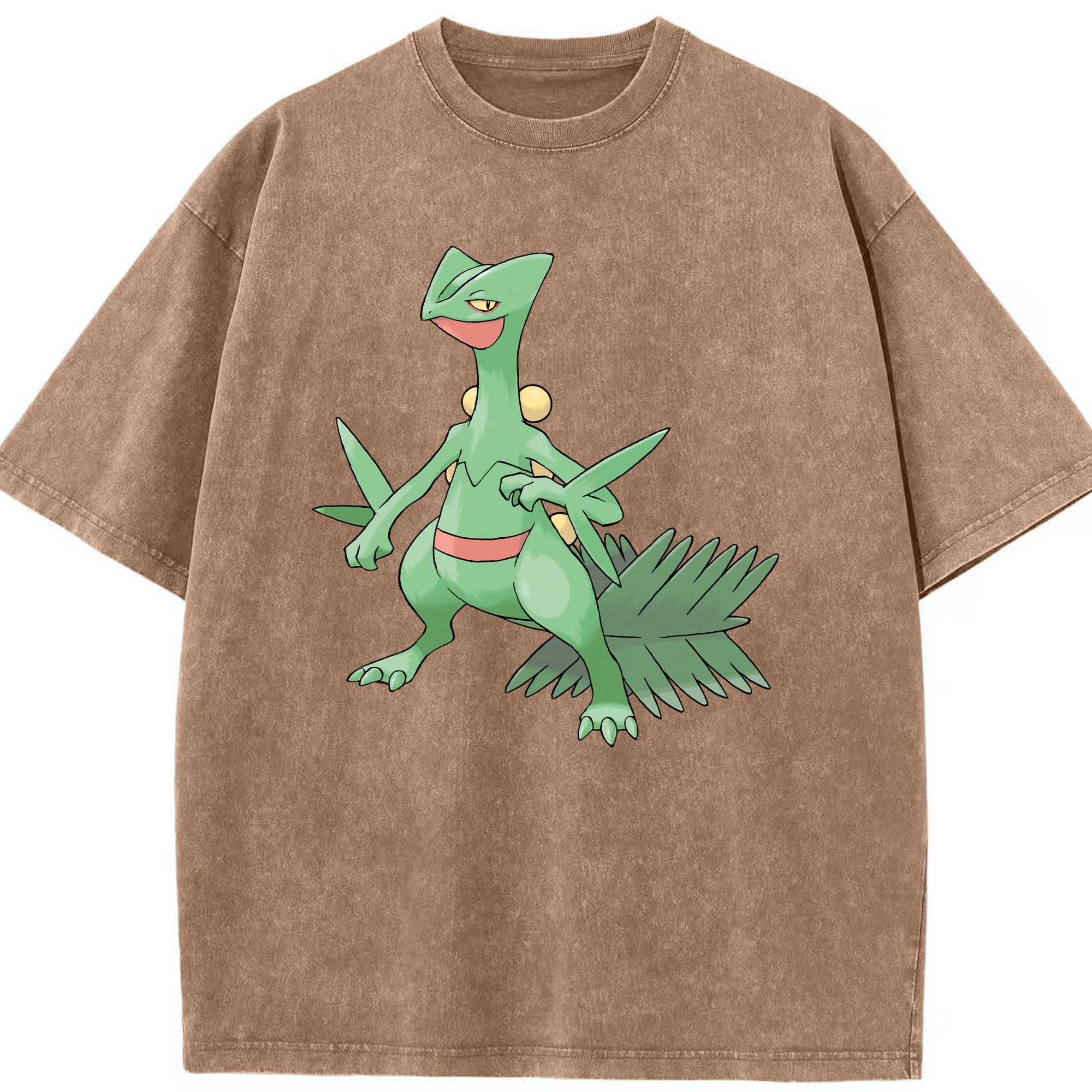 （画像用） ポケットモンスター Pokémon 綿100% ヴィンテージ風 半袖Tシャツ（フロントプリント）