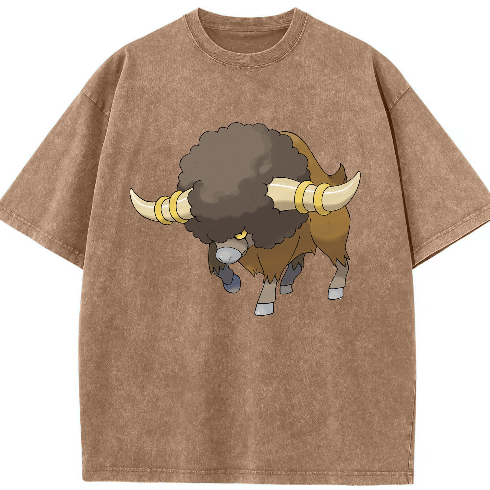 （画像用） ポケットモンスター Pokémon 綿100% ヴィンテージ風 半袖Tシャツ（フロントプリント）