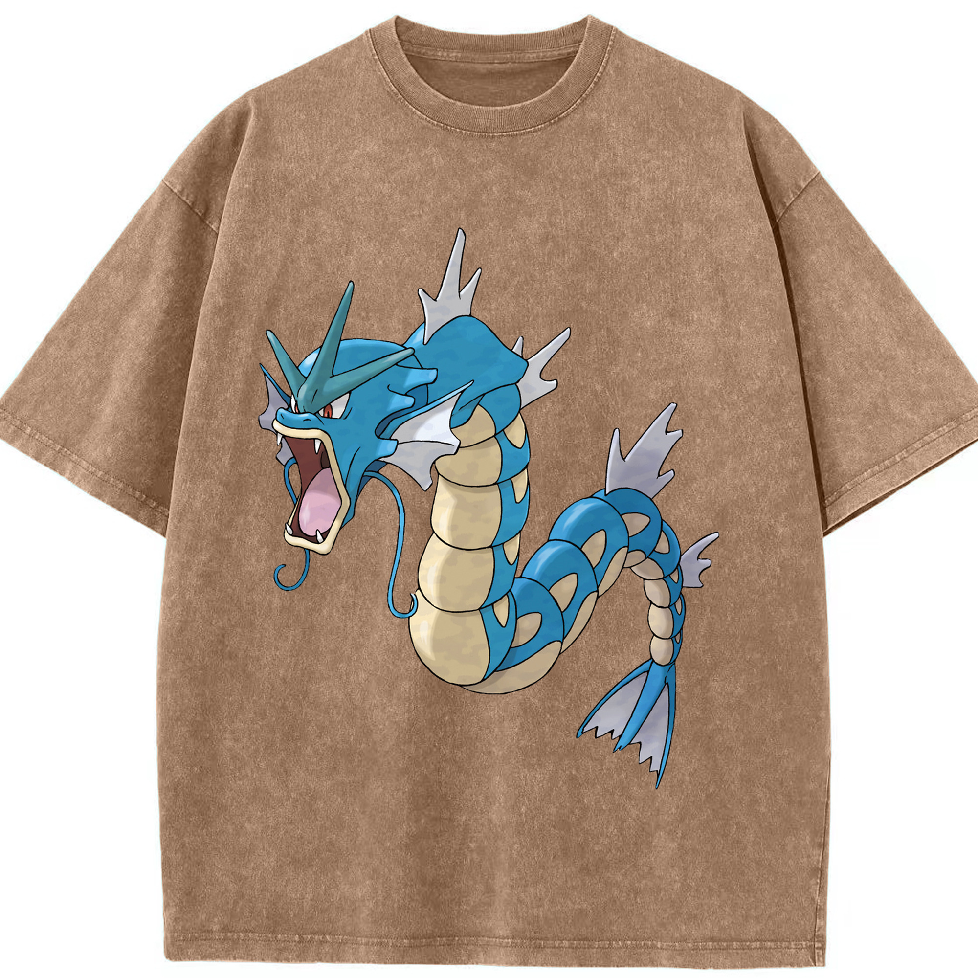 （画像用） ポケットモンスター Pokémon 綿100% ヴィンテージ風 半袖Tシャツ（フロントプリント）