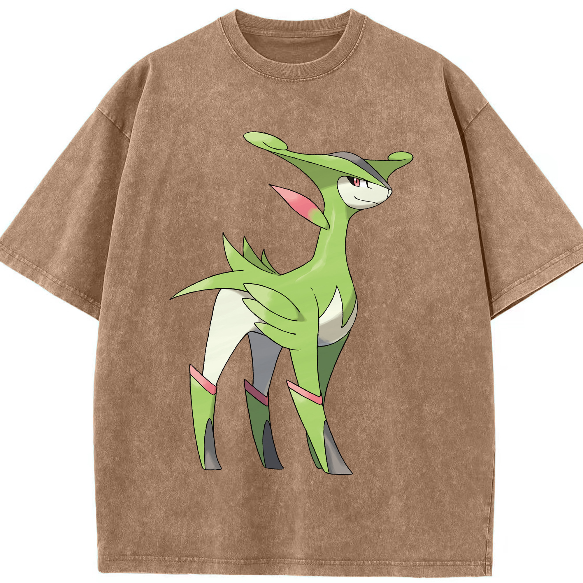 （画像用） ポケットモンスター Pokémon 綿100% ヴィンテージ風 半袖Tシャツ（フロントプリント）