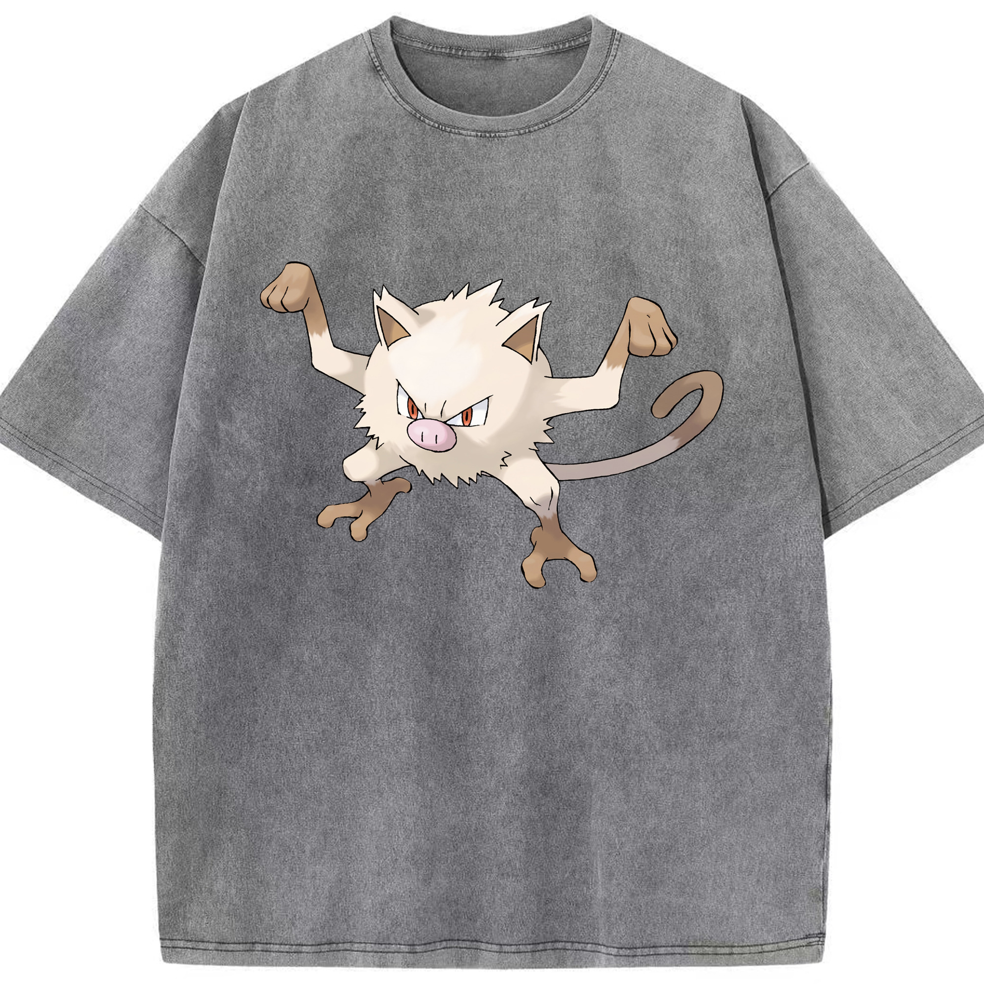 （画像用） ポケットモンスター Pokémon 綿100% ヴィンテージ風 半袖Tシャツ（フロントプリント）