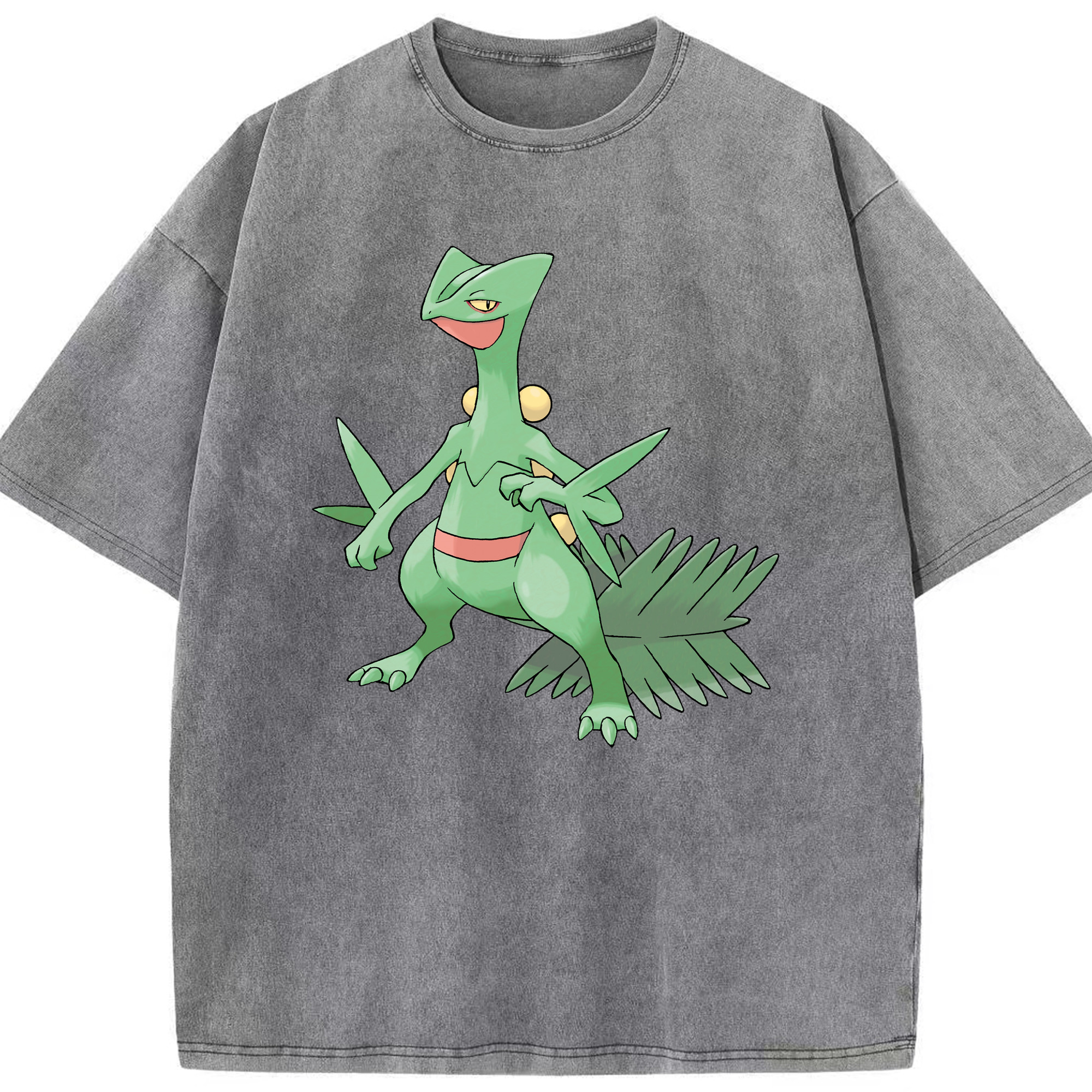 （画像用） ポケットモンスター Pokémon 綿100% ヴィンテージ風 半袖Tシャツ（フロントプリント）