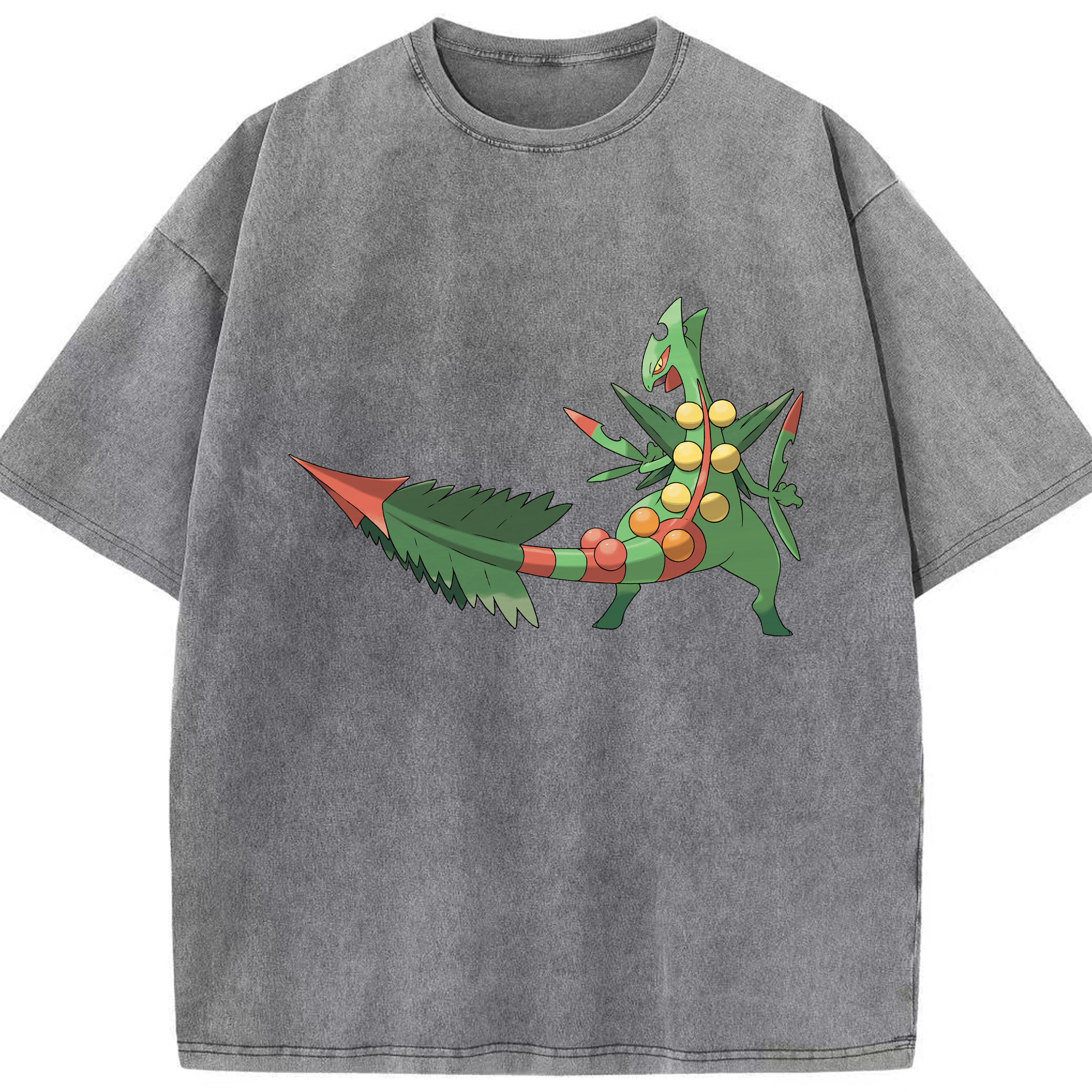 （画像用） ポケットモンスター Pokémon 綿100% ヴィンテージ風 半袖Tシャツ（フロントプリント）