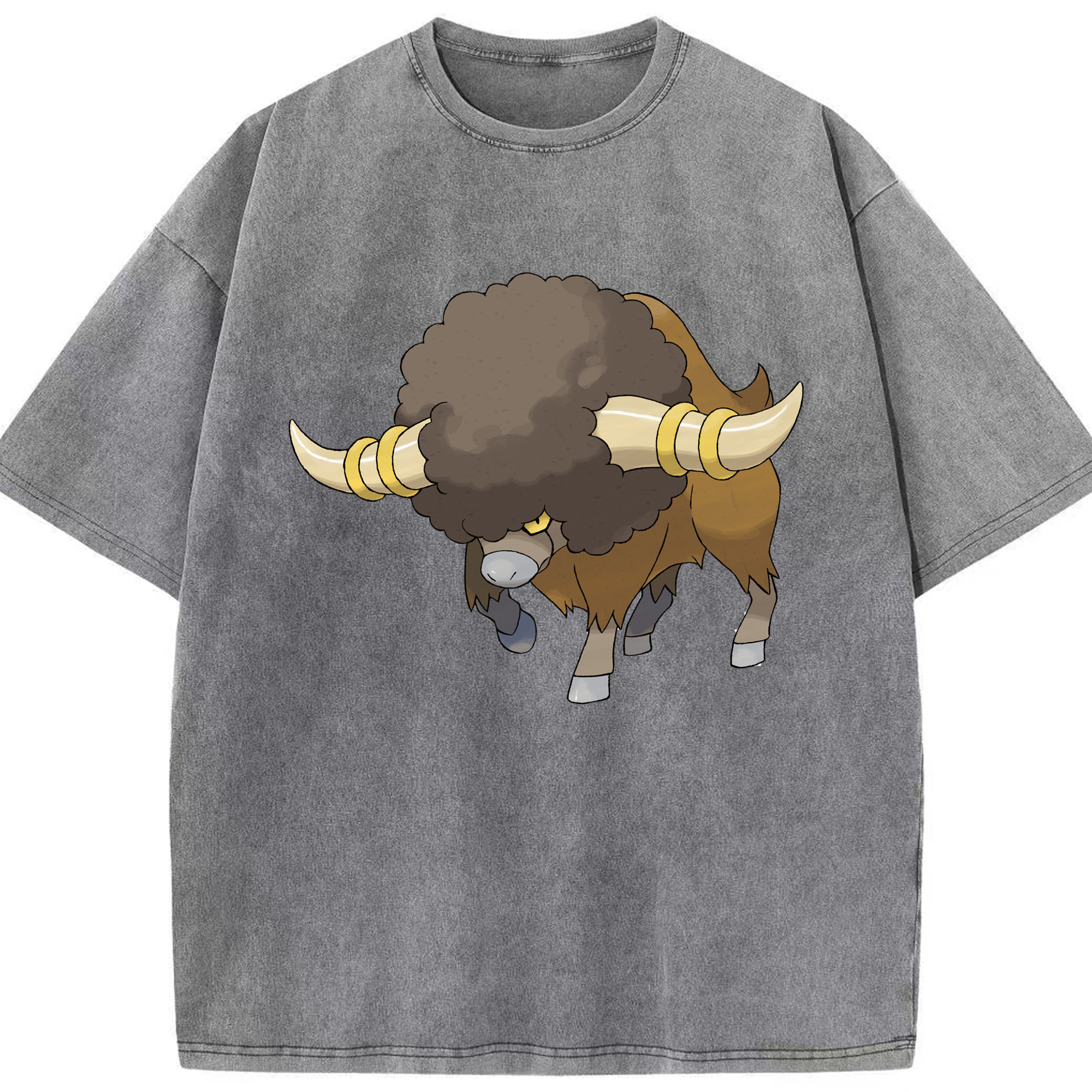（画像用） ポケットモンスター Pokémon 綿100% ヴィンテージ風 半袖Tシャツ（フロントプリント）