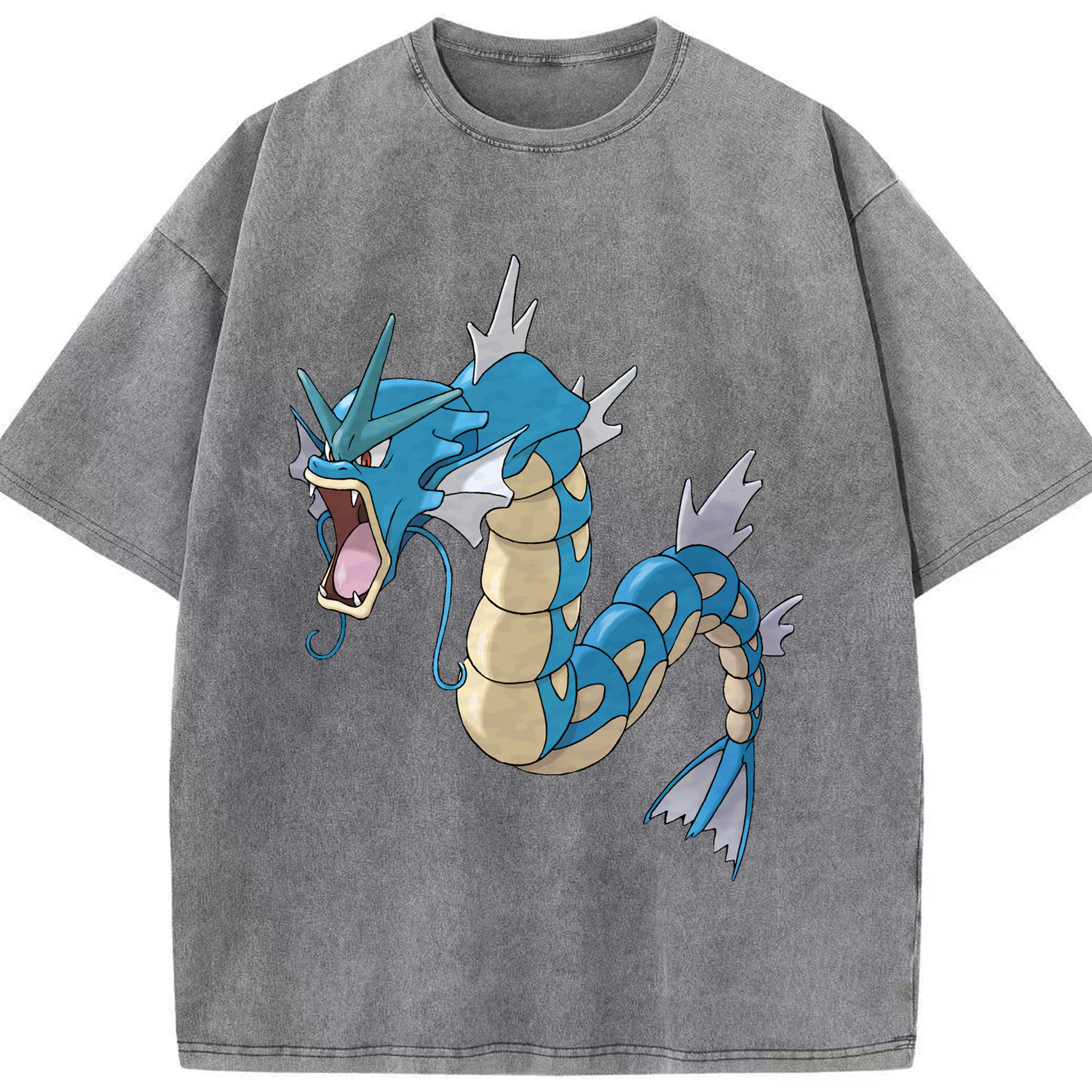 （画像用） ポケットモンスター Pokémon 綿100% ヴィンテージ風 半袖Tシャツ（フロントプリント）