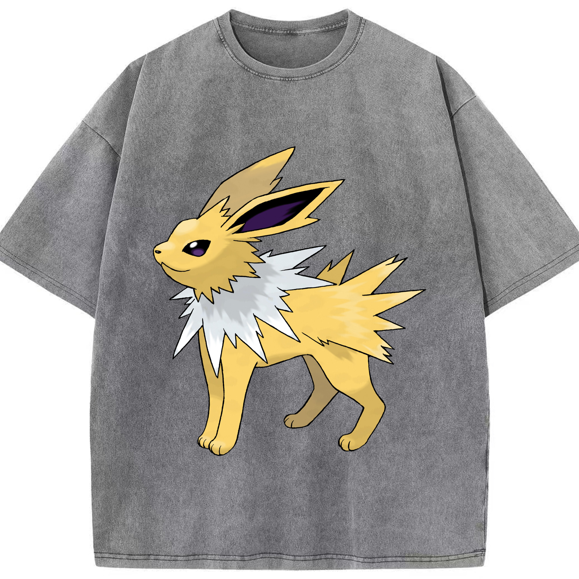 （画像用） ポケットモンスター Pokémon 綿100% ヴィンテージ風 半袖Tシャツ（フロントプリント）