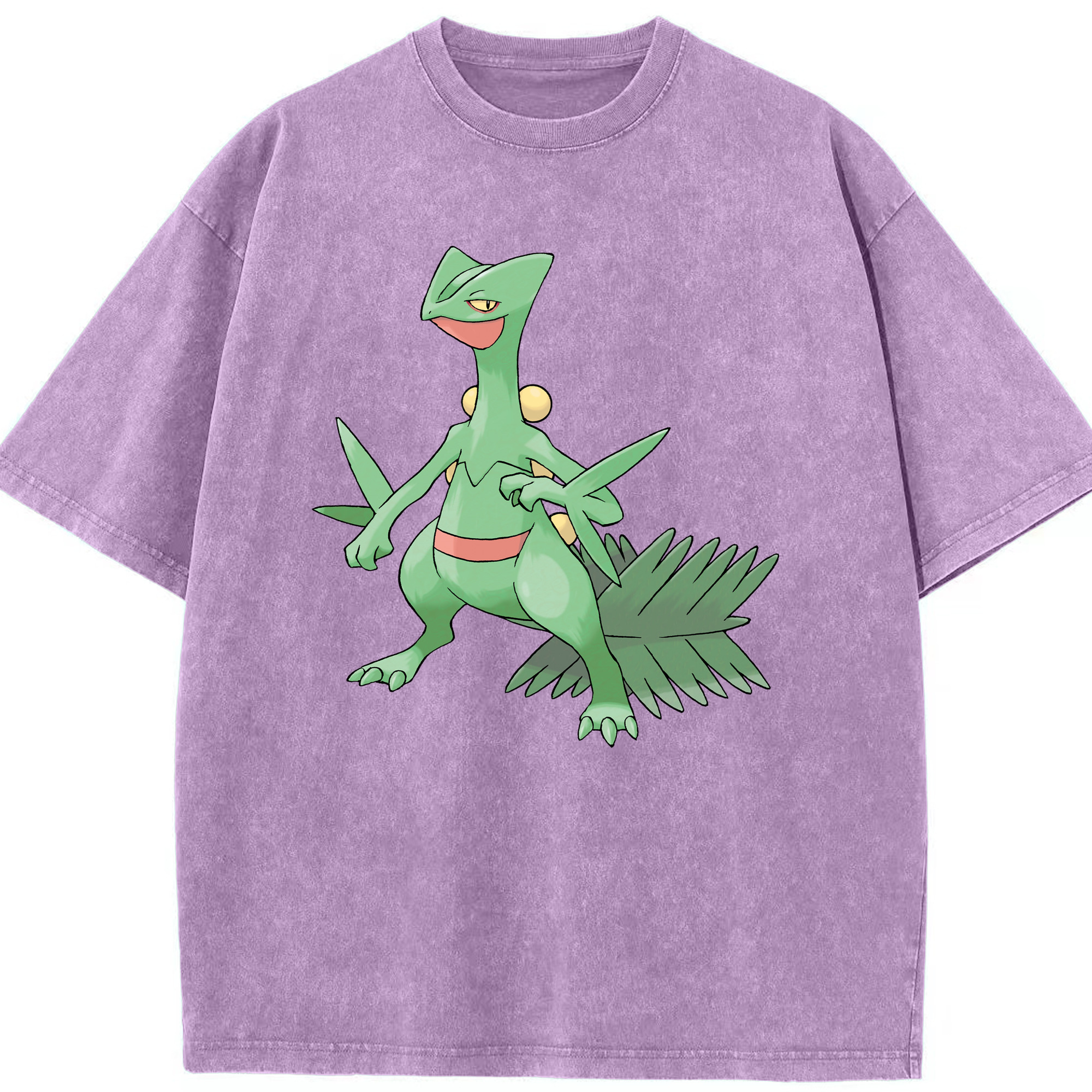 （画像用） ポケットモンスター Pokémon 綿100% ヴィンテージ風 半袖Tシャツ（フロントプリント）