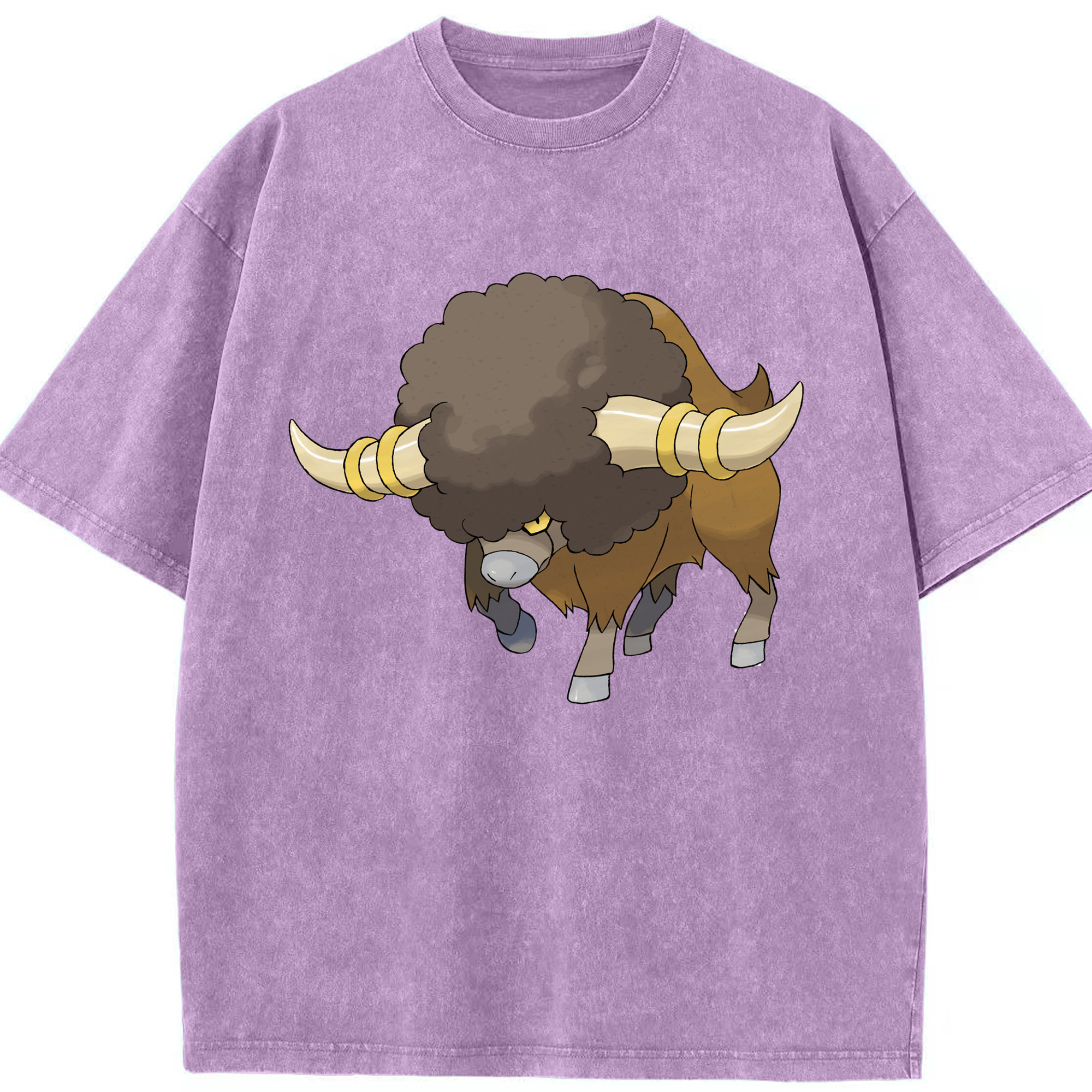 （画像用） ポケットモンスター Pokémon 綿100% ヴィンテージ風 半袖Tシャツ（フロントプリント）