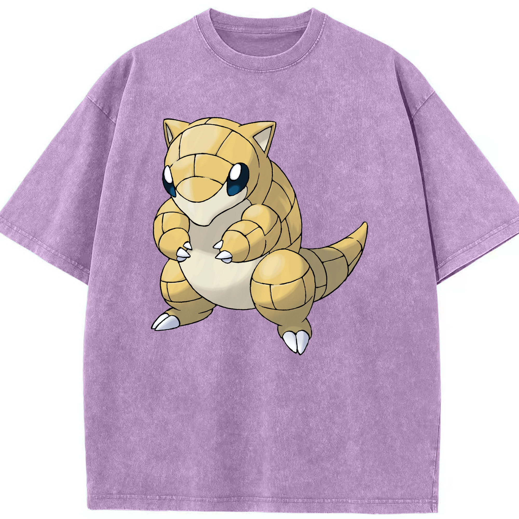 （画像用） ポケットモンスター Pokémon 綿100% ヴィンテージ風 半袖Tシャツ（フロントプリント）