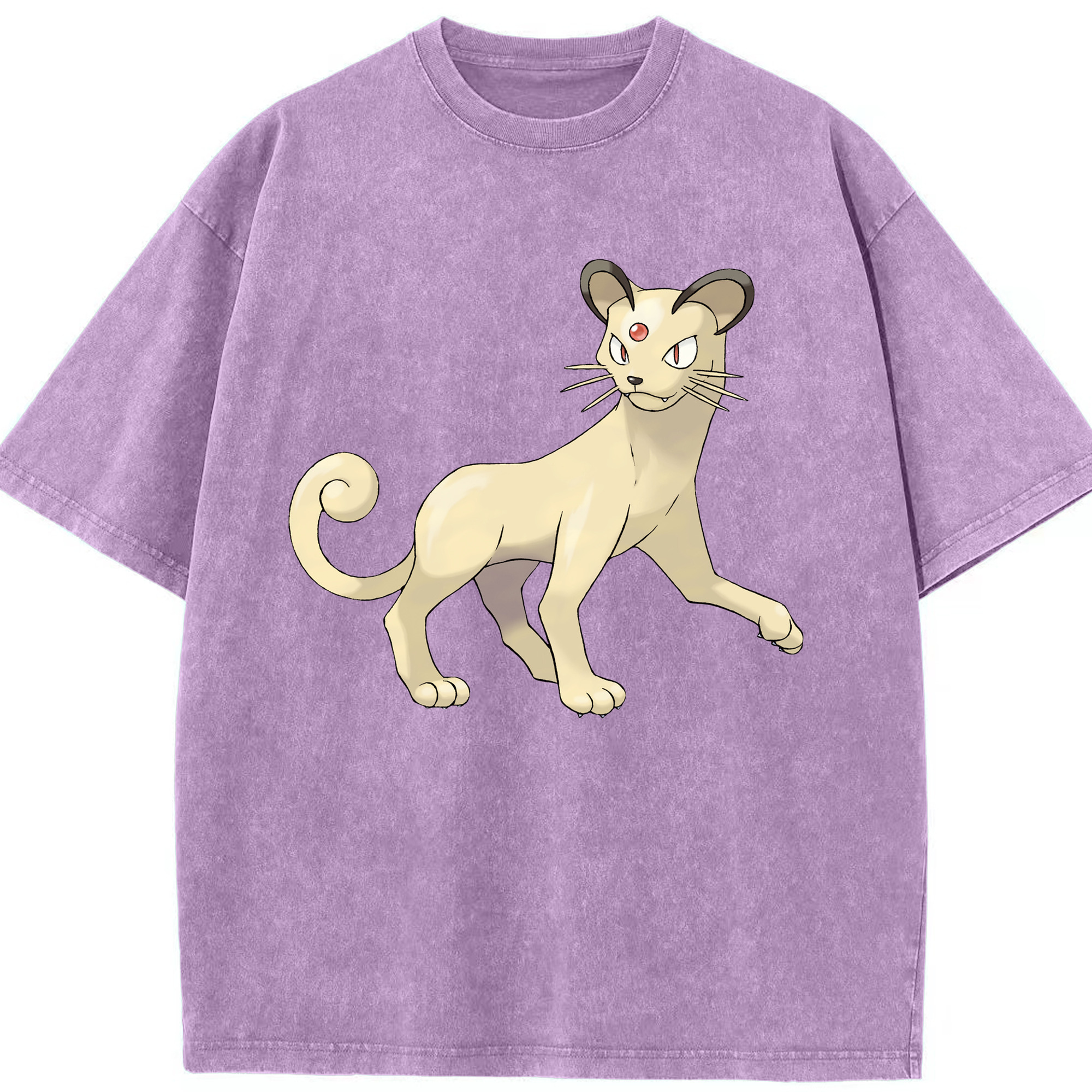 （画像用） ポケットモンスター Pokémon 綿100% ヴィンテージ風 半袖Tシャツ（フロントプリント）