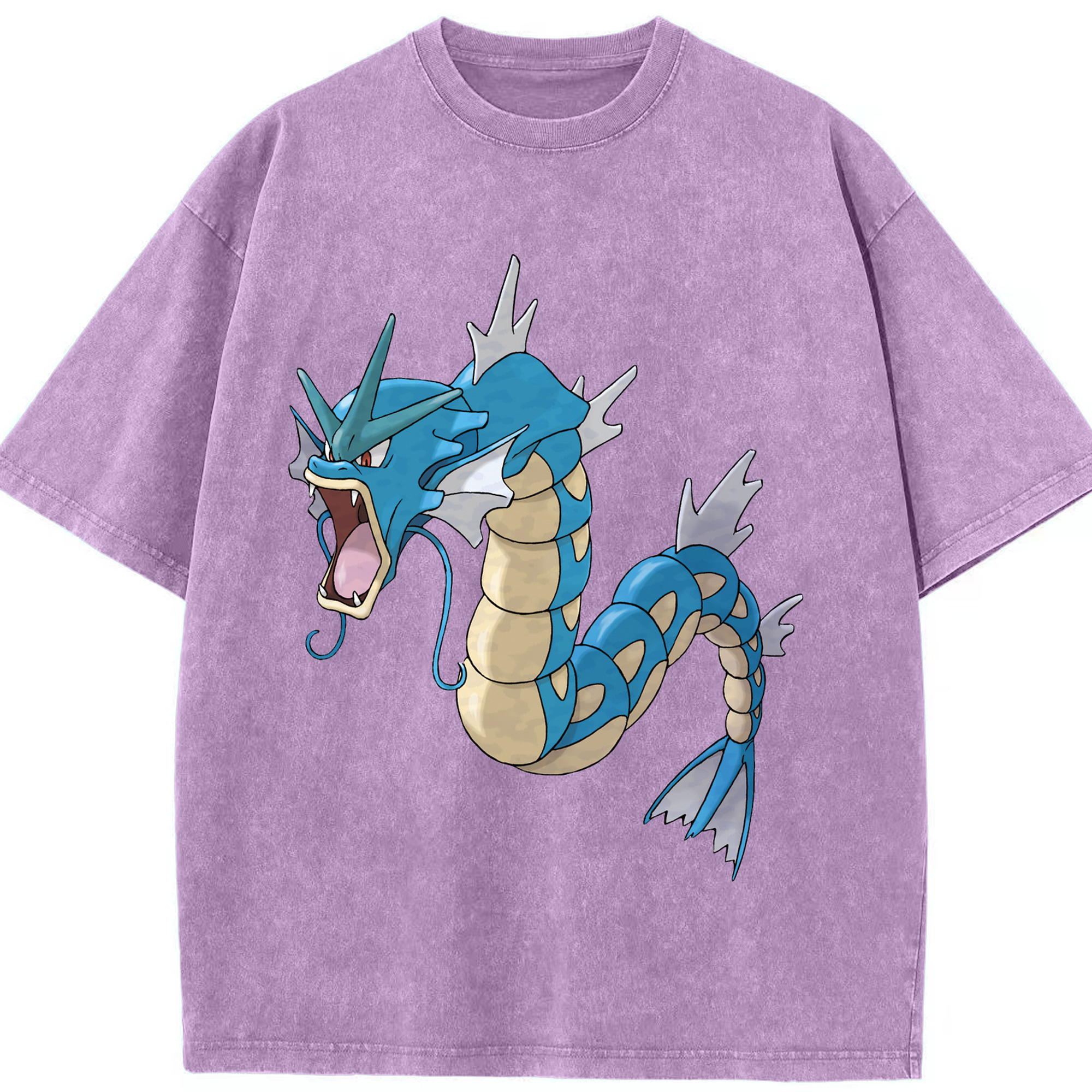 （画像用） ポケットモンスター Pokémon 綿100% ヴィンテージ風 半袖Tシャツ（フロントプリント）