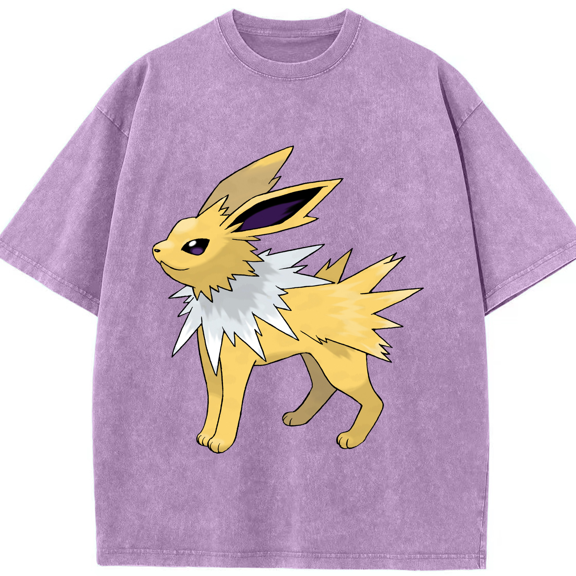 （画像用） ポケットモンスター Pokémon 綿100% ヴィンテージ風 半袖Tシャツ（フロントプリント）