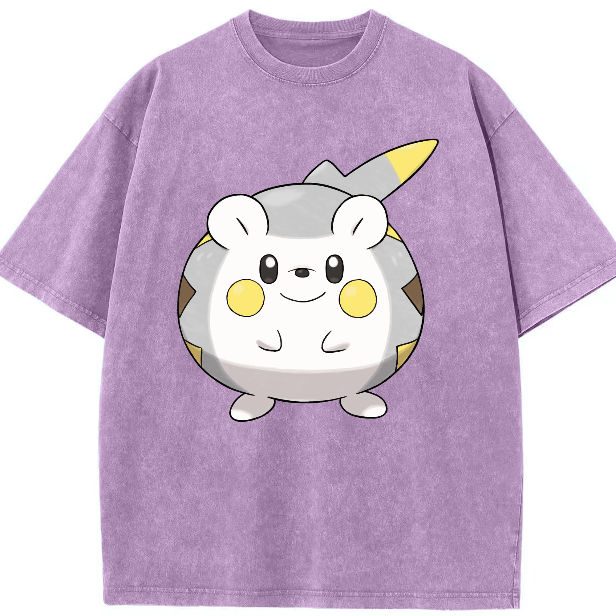 （画像用） ポケットモンスター Pokémon 綿100% ヴィンテージ風 半袖Tシャツ（フロントプリント）