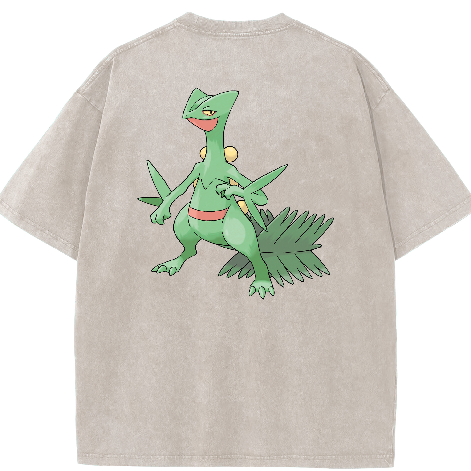 （画像用） ポケットモンスター Pokémon 綿100% ヴィンテージ風 半袖Tシャツ（背面プリント）