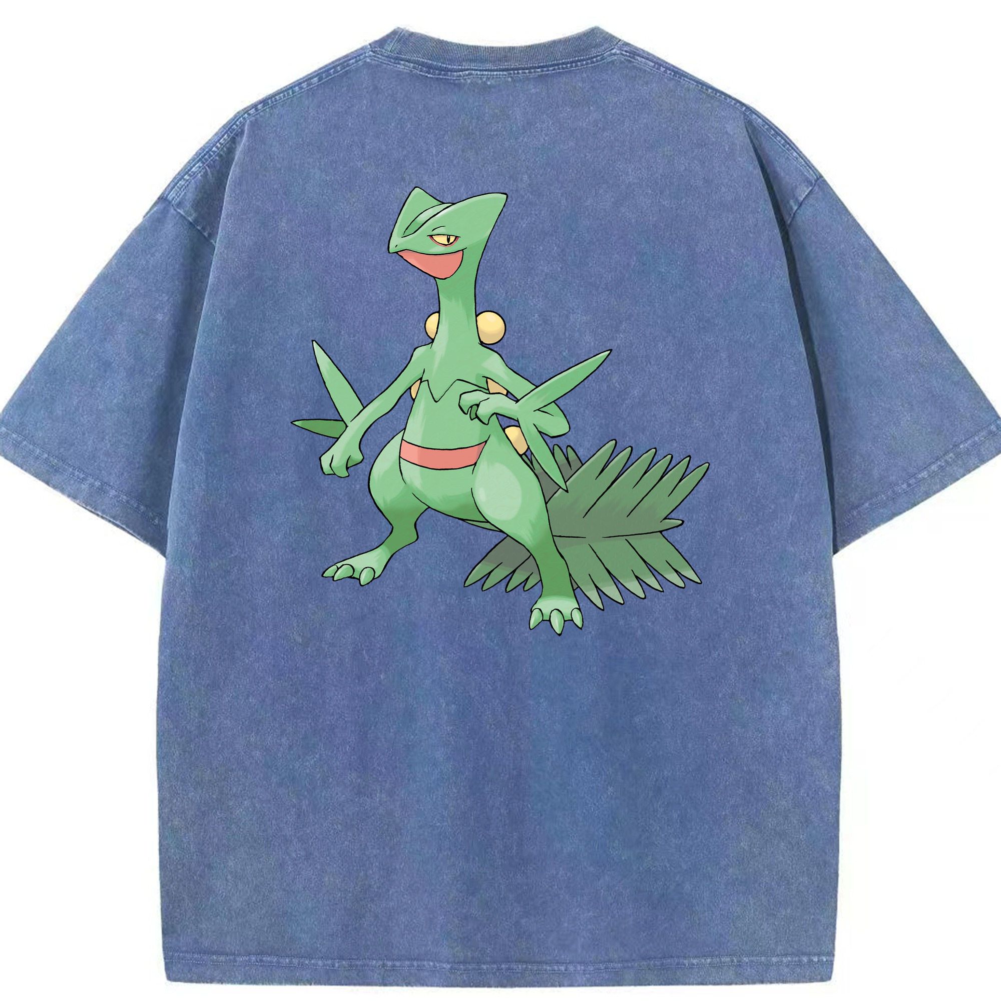 （画像用） ポケットモンスター Pokémon 綿100% ヴィンテージ風 半袖Tシャツ（背面プリント）