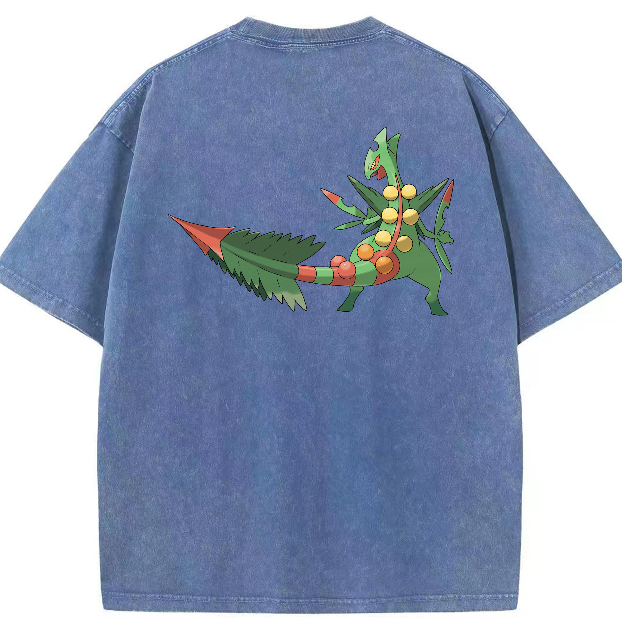 （画像用） ポケットモンスター Pokémon 綿100% ヴィンテージ風 半袖Tシャツ（背面プリント）