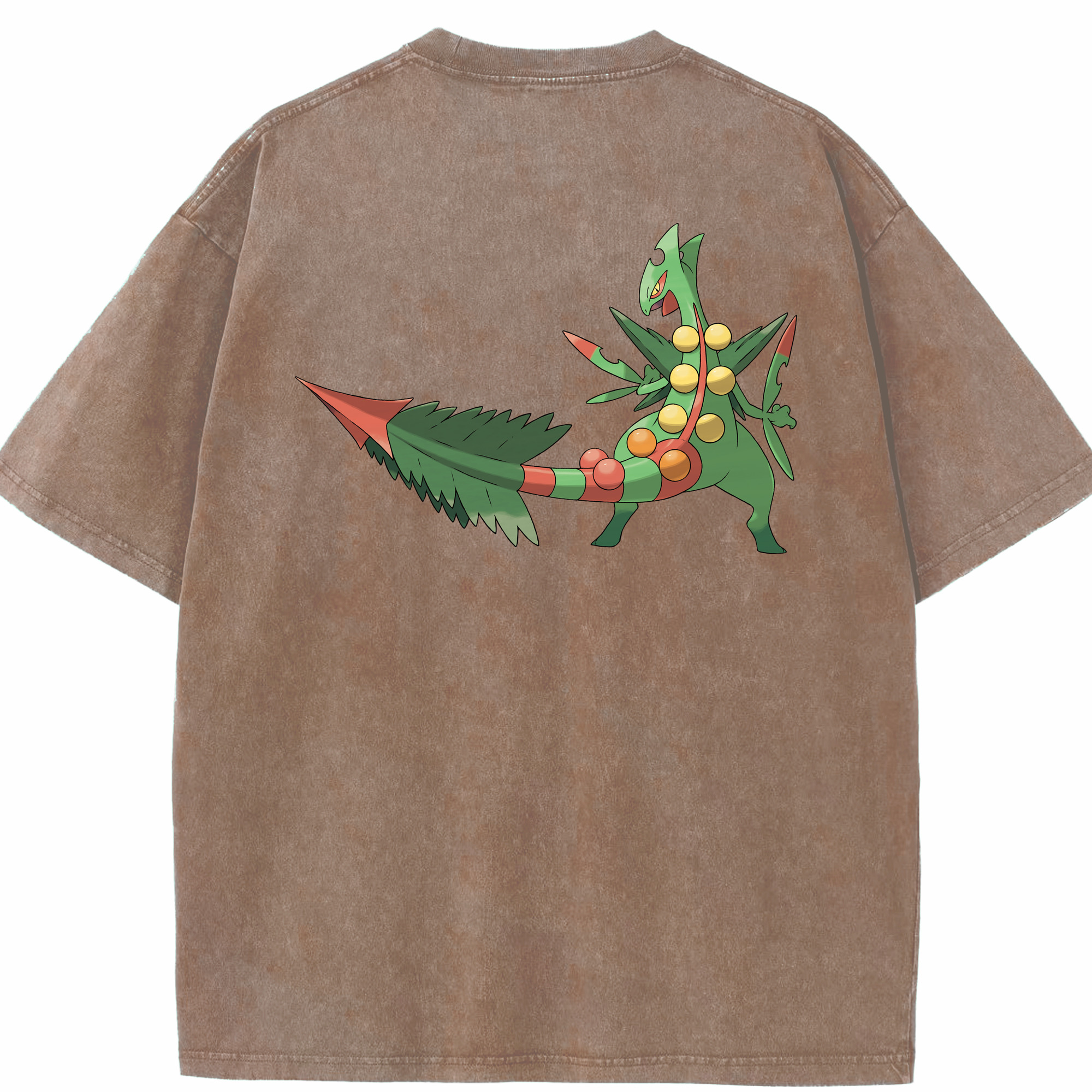 （画像用） ポケットモンスター Pokémon 綿100% ヴィンテージ風 半袖Tシャツ（背面プリント）