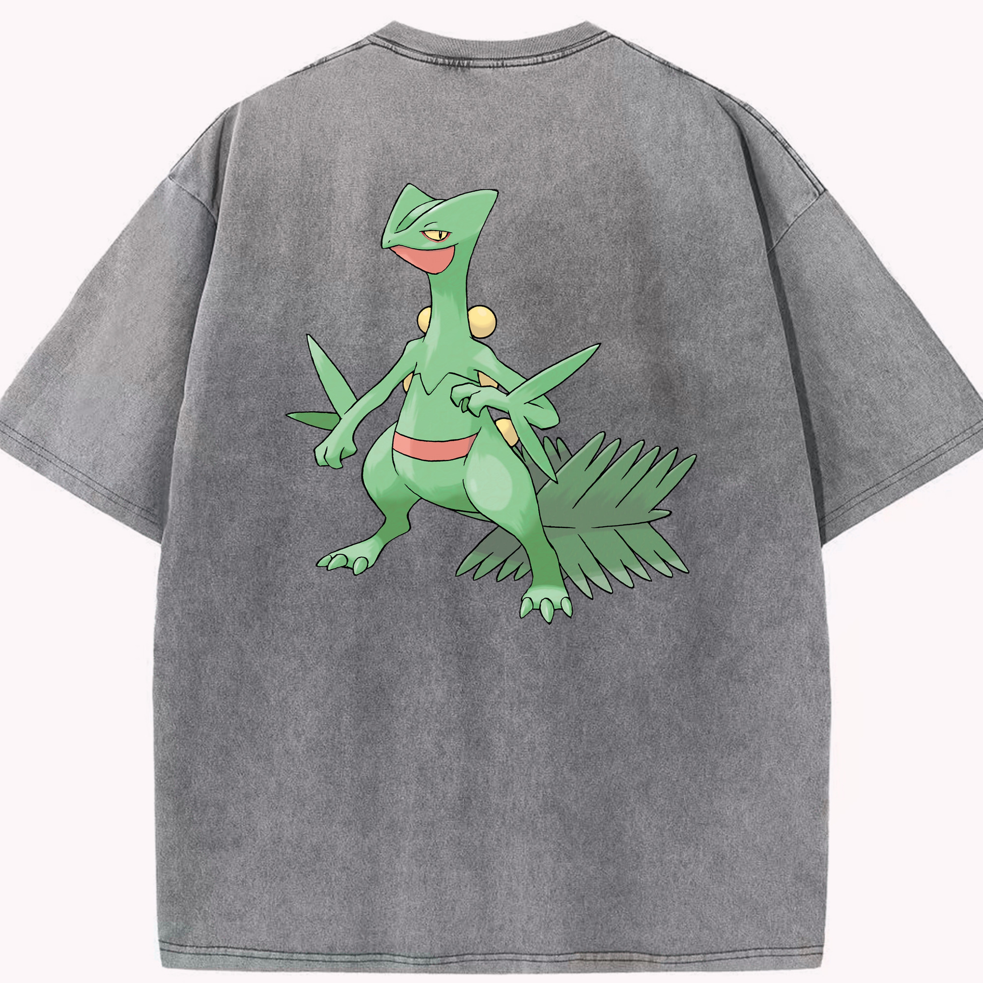 （画像用） ポケットモンスター Pokémon 綿100% ヴィンテージ風 半袖Tシャツ（背面プリント）