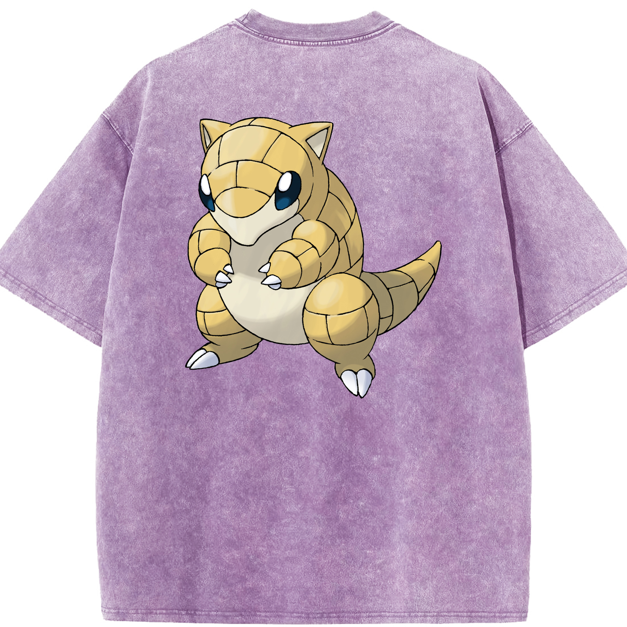 （画像用） ポケットモンスター Pokémon 綿100% ヴィンテージ風 半袖Tシャツ（背面プリント）