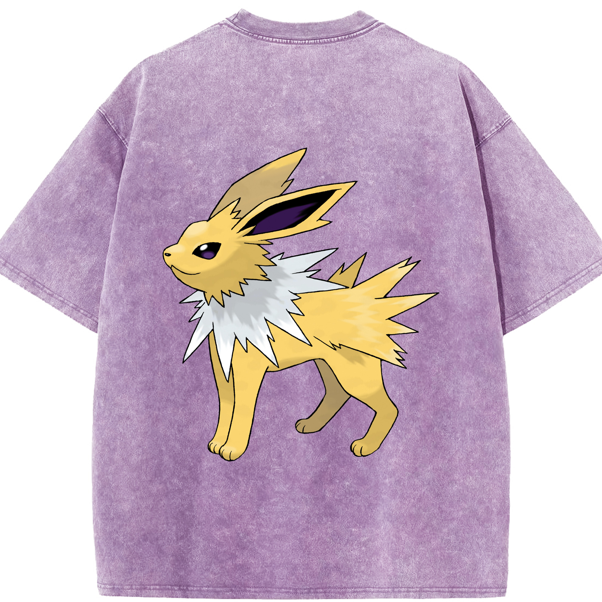 （画像用） ポケットモンスター Pokémon 綿100% ヴィンテージ風 半袖Tシャツ（背面プリント）
