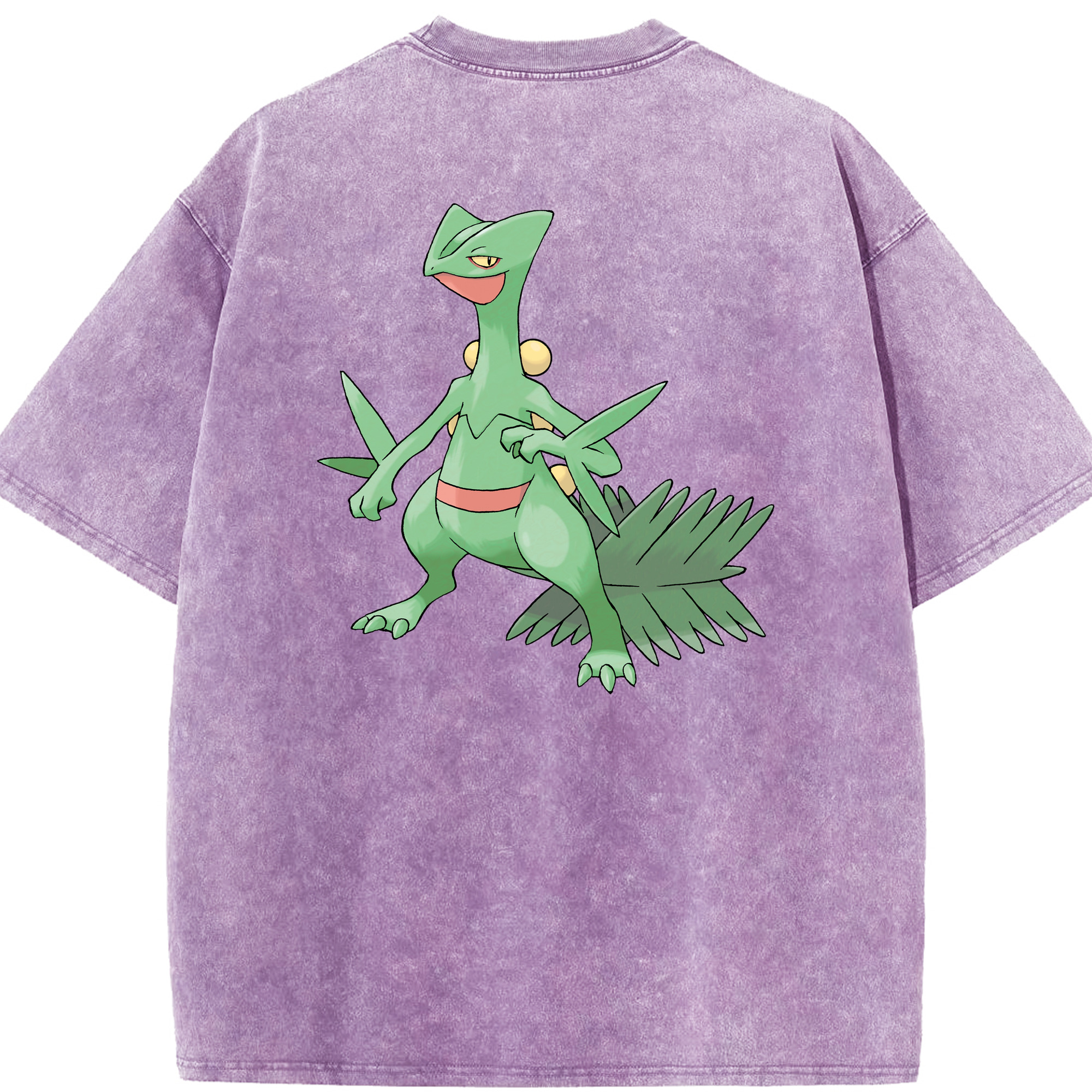 （画像用） ポケットモンスター Pokémon 綿100% ヴィンテージ風 半袖Tシャツ（背面プリント）
