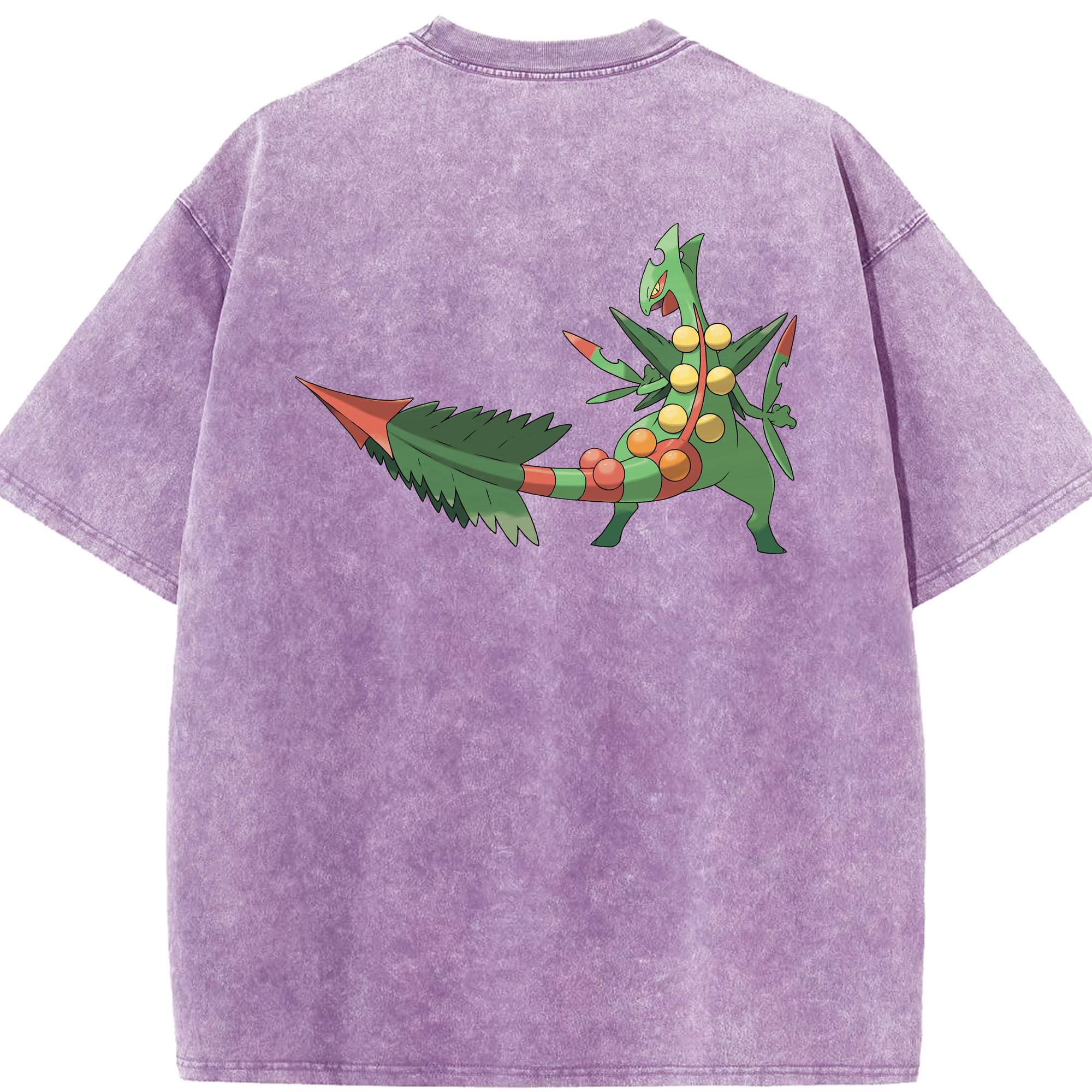 （画像用） ポケットモンスター Pokémon 綿100% ヴィンテージ風 半袖Tシャツ（背面プリント）