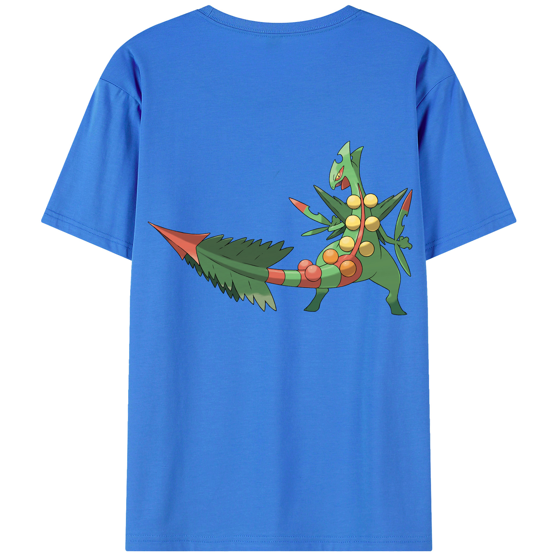 （画像用） ポケットモンスター Pokémon 綿100％ メンズ半袖Tシャツ（バックプリント） 通気性