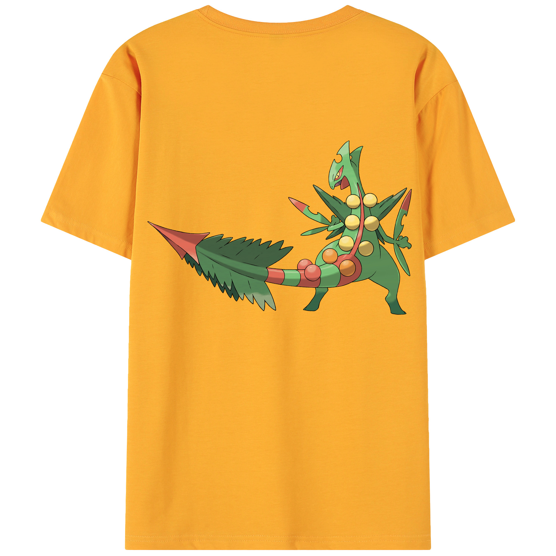 （画像用） ポケットモンスター Pokémon 綿100％ メンズ半袖Tシャツ（バックプリント） 通気性