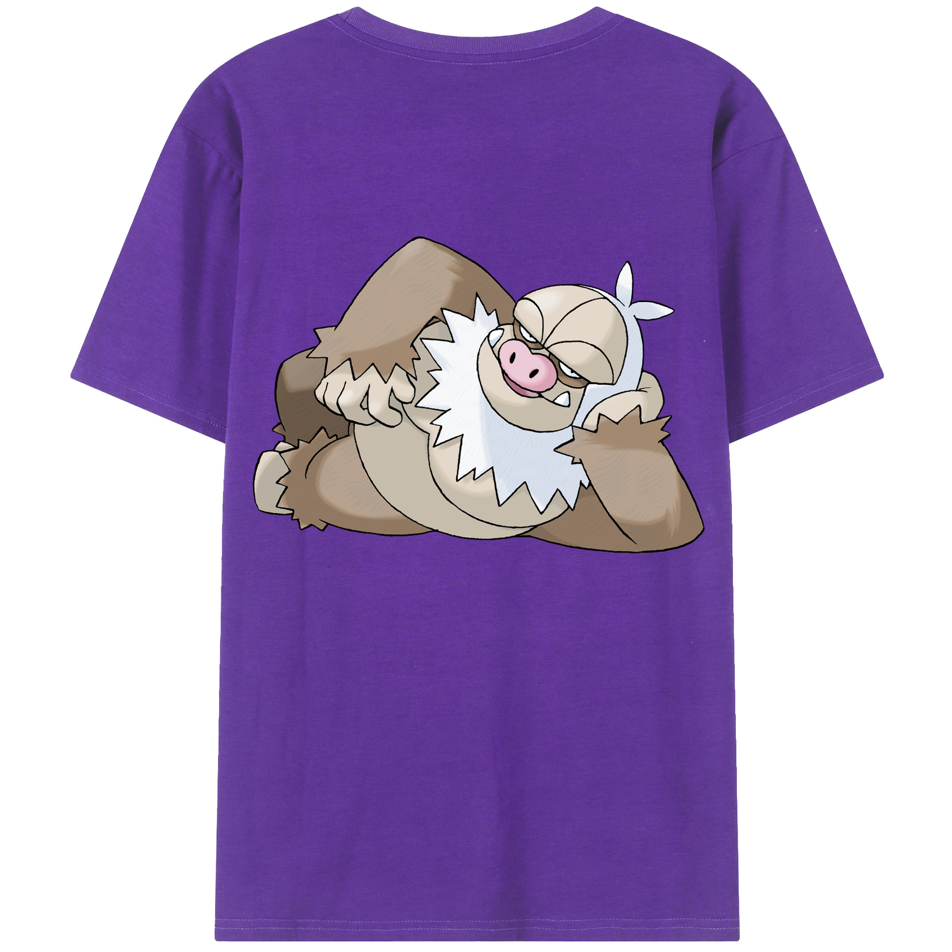 （画像用） ポケットモンスター Pokémon 綿100％ メンズ半袖Tシャツ（バックプリント） 通気性