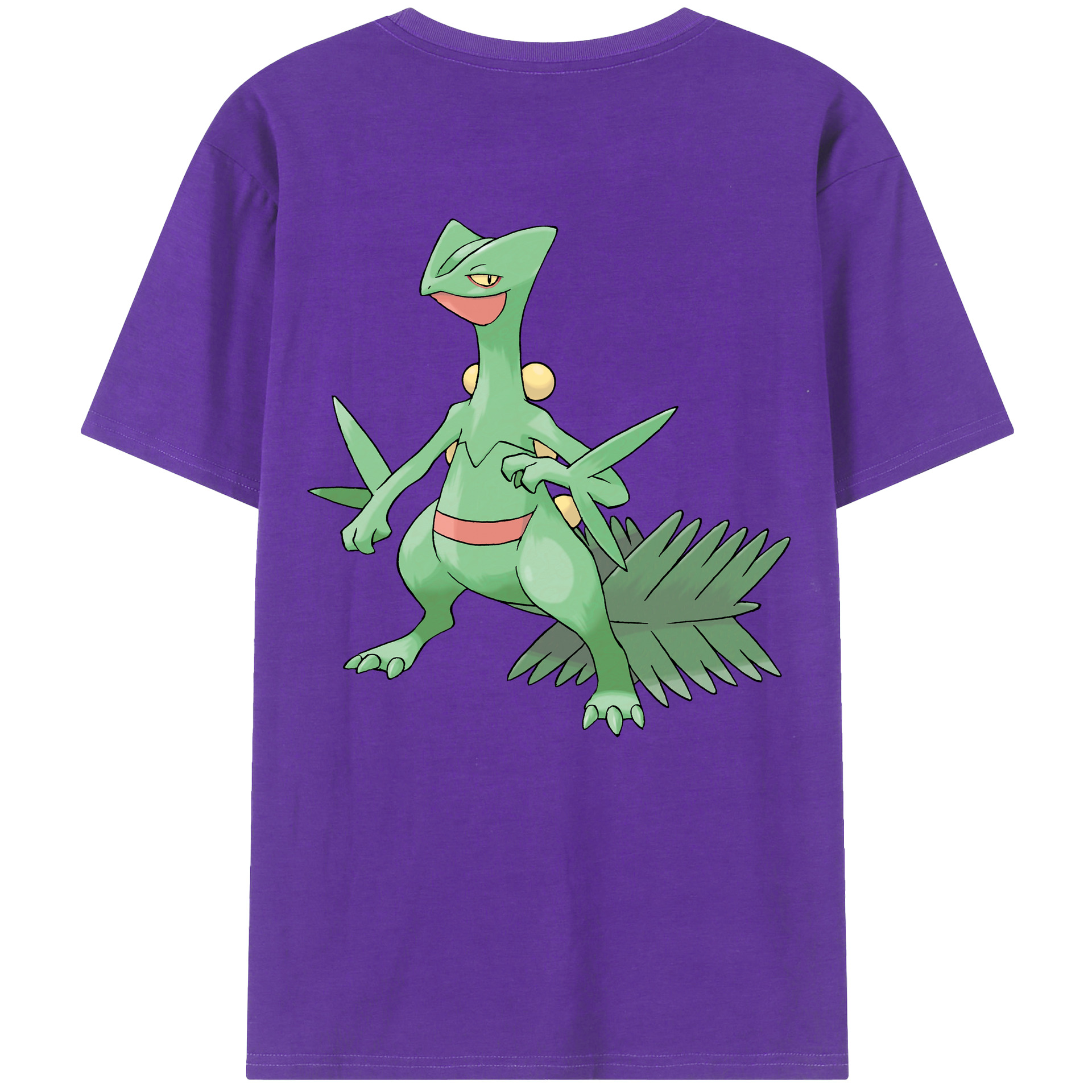 （画像用） ポケットモンスター Pokémon 綿100％ メンズ半袖Tシャツ（バックプリント） 通気性