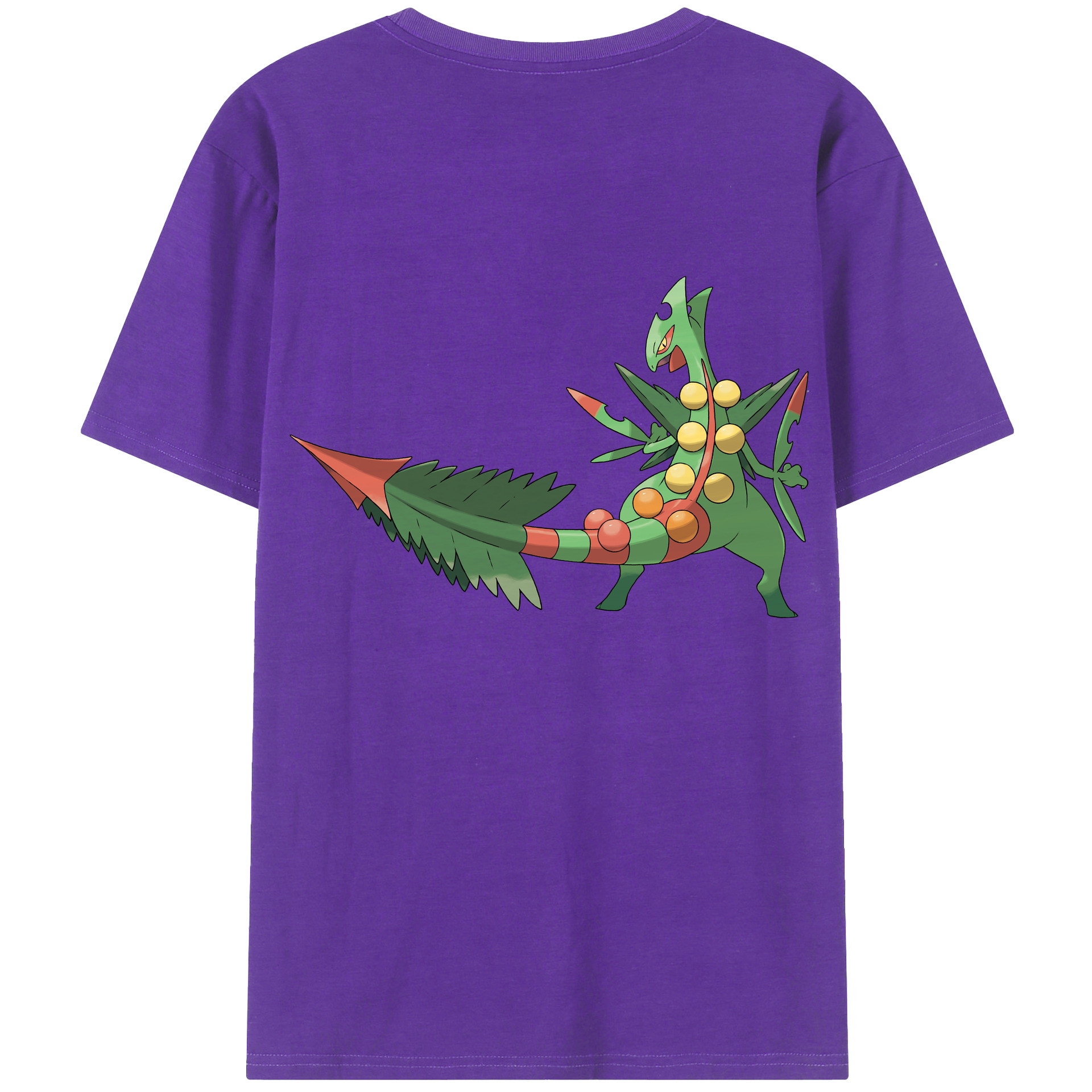 （画像用） ポケットモンスター Pokémon 綿100％ メンズ半袖Tシャツ（バックプリント） 通気性