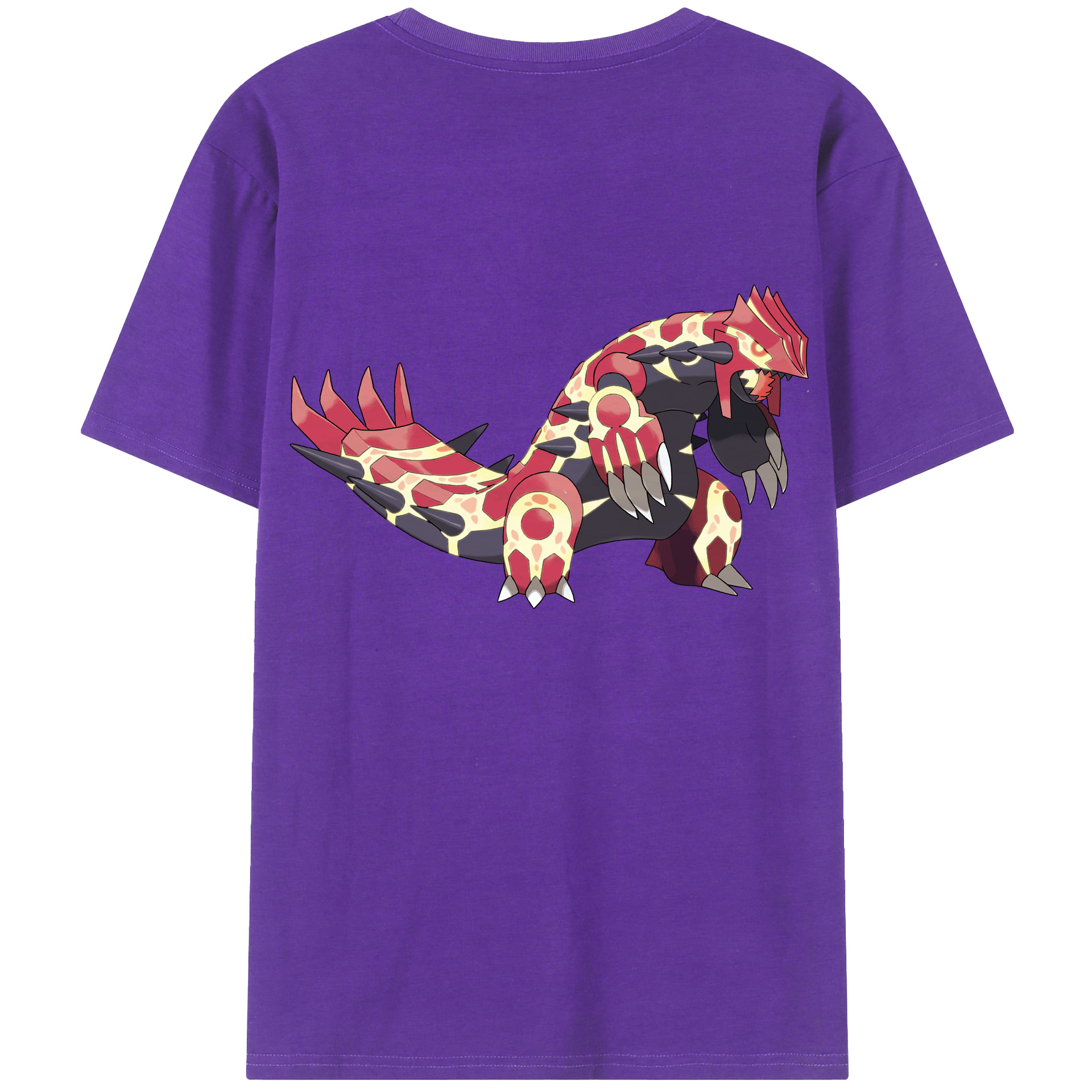 （画像用） ポケットモンスター Pokémon 綿100％ メンズ半袖Tシャツ（バックプリント） 通気性
