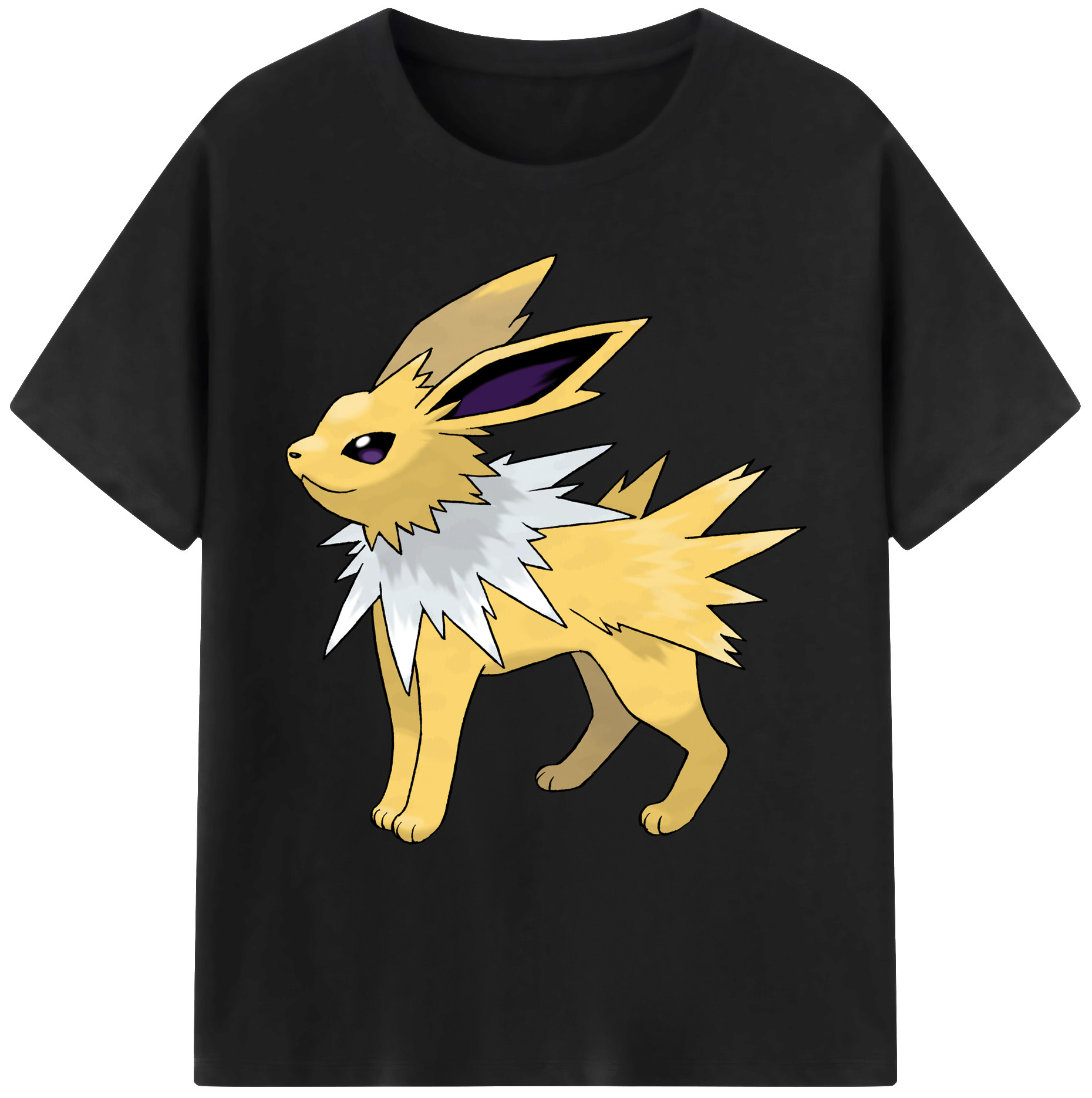 （画像用） ポケットモンスター Pokémon 綿100％ メンズ半袖Tシャツ｜肌触りやわらか＆通気性