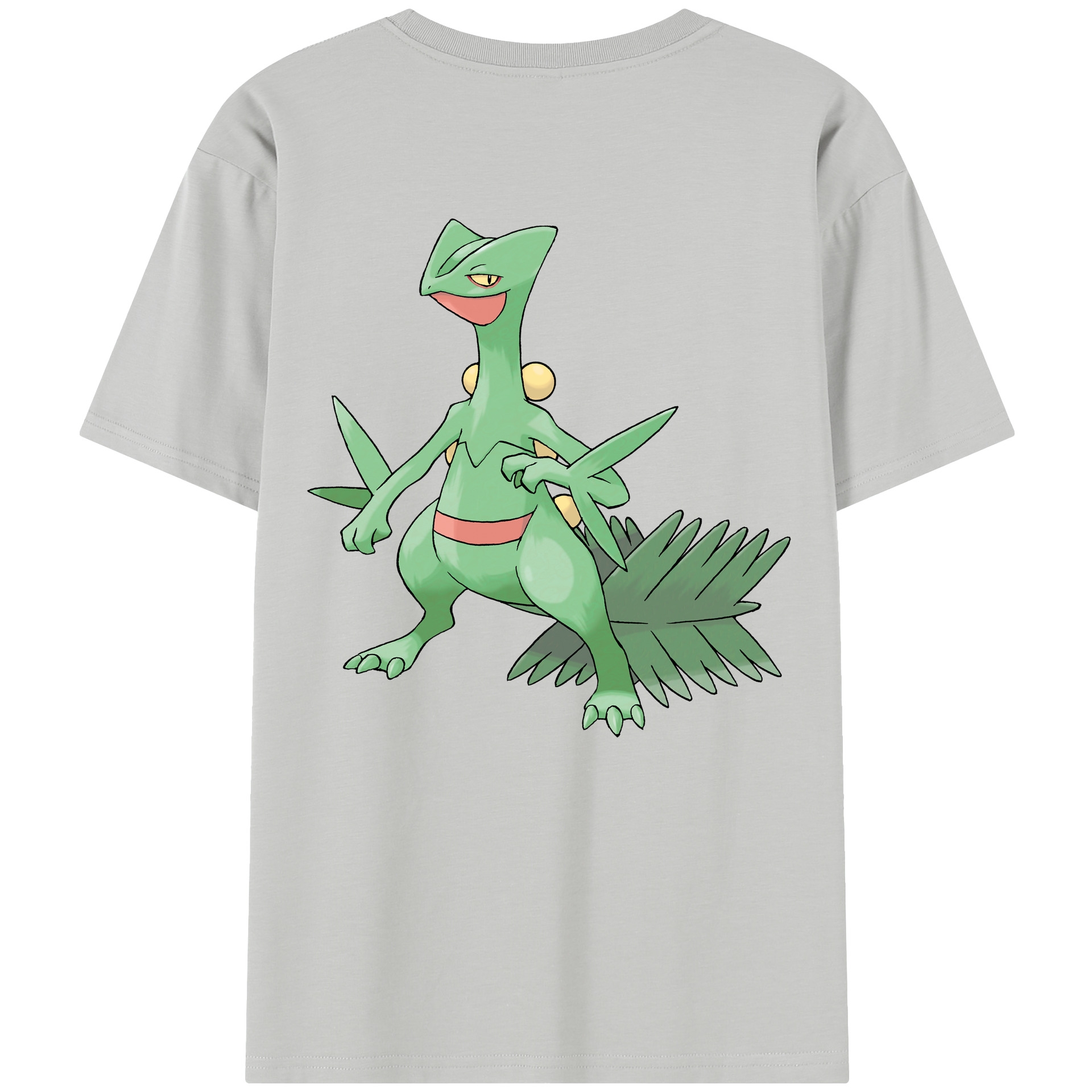 （画像用） ポケットモンスター Pokémon レディース半袖Tシャツ(バックプリント)
