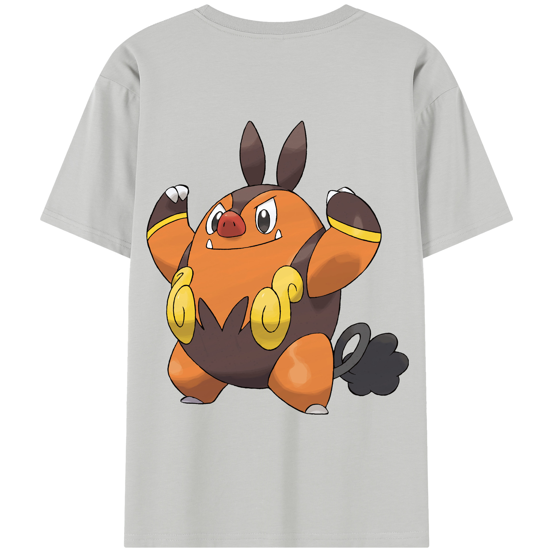 （画像用） ポケットモンスター Pokémon レディース半袖Tシャツ(バックプリント)