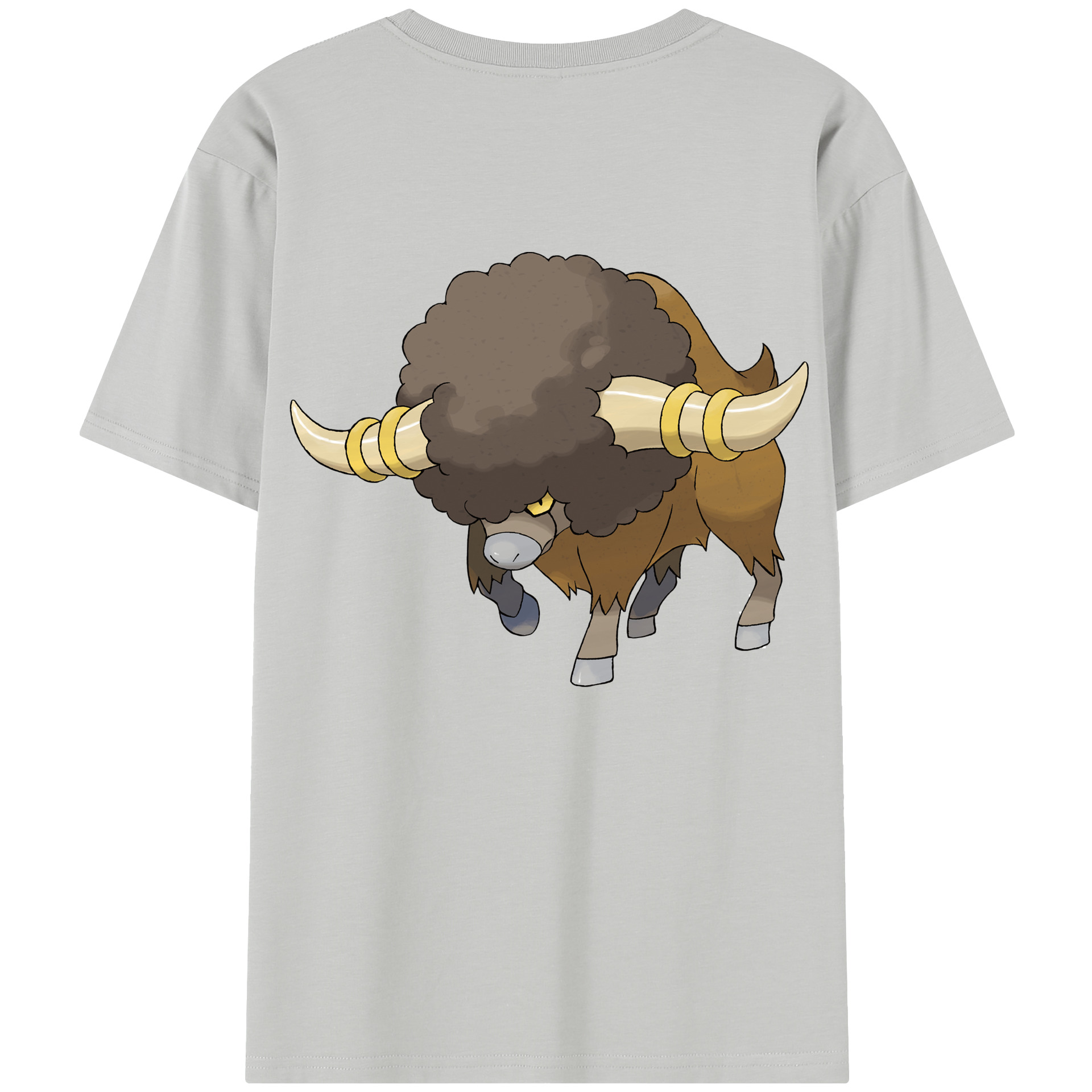 （画像用） ポケットモンスター Pokémon レディース半袖Tシャツ(バックプリント)