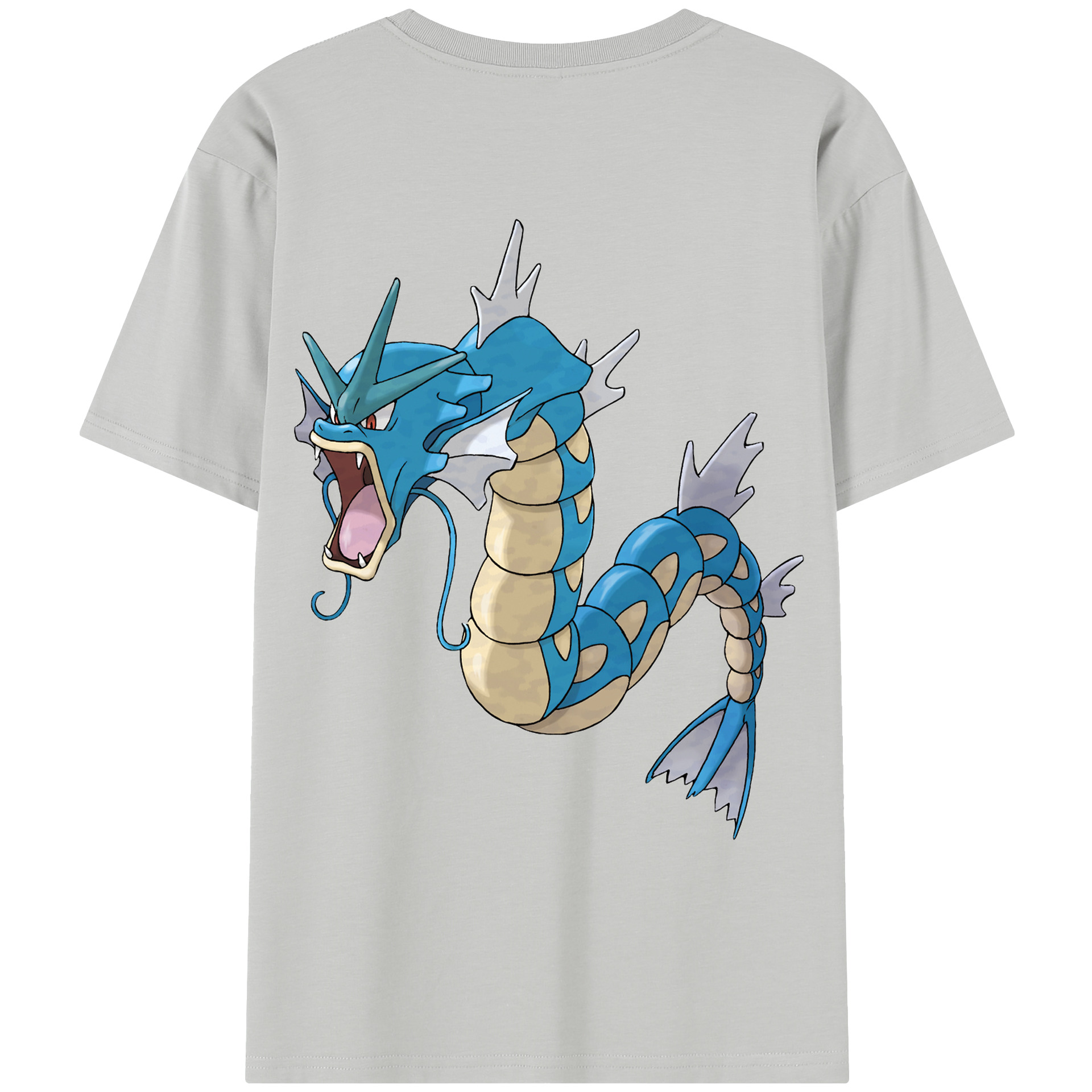 （画像用） ポケットモンスター Pokémon レディース半袖Tシャツ(バックプリント)