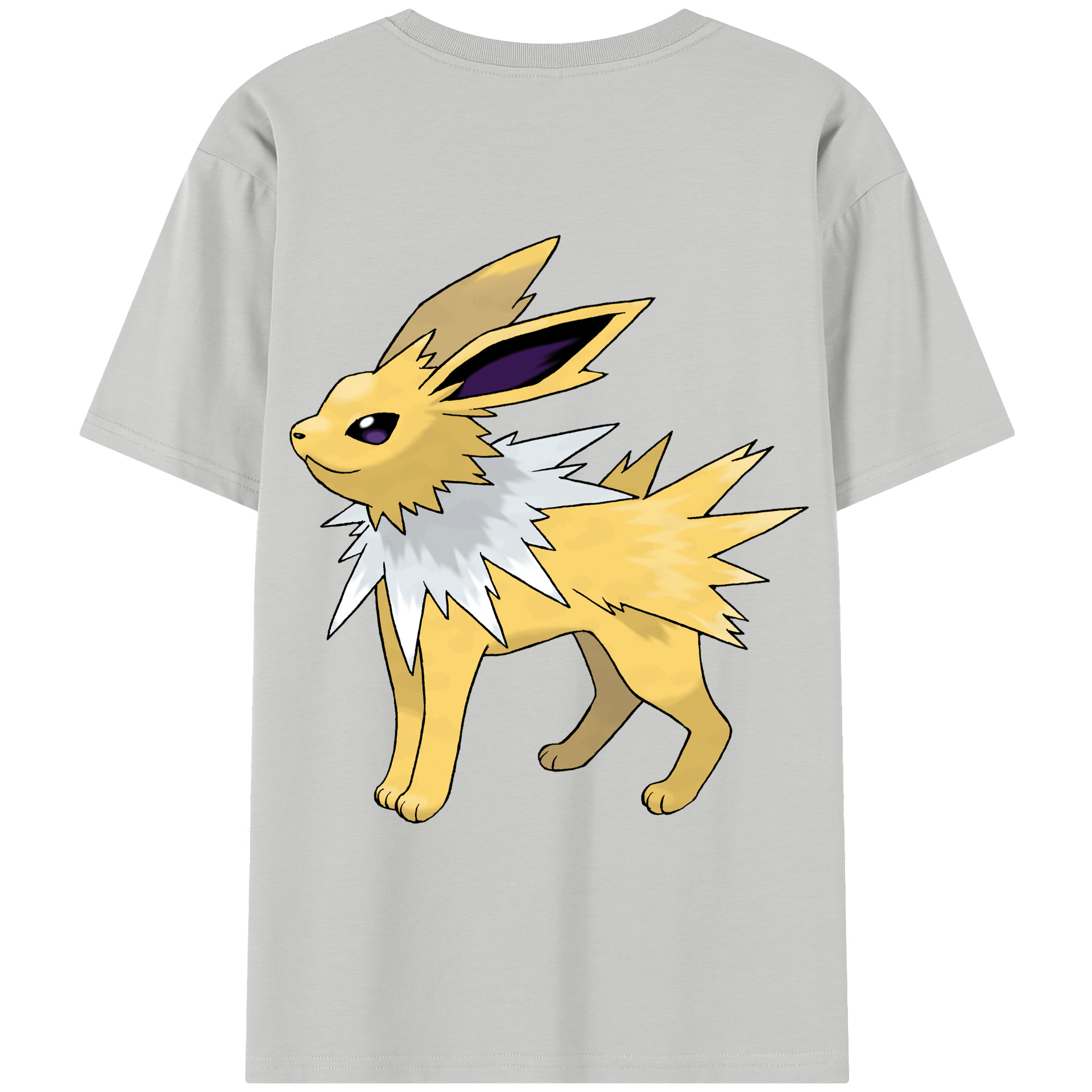 （画像用） ポケットモンスター Pokémon レディース半袖Tシャツ(バックプリント)