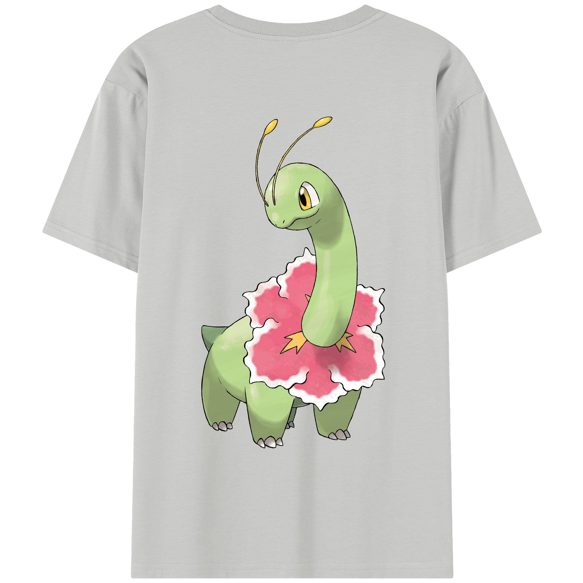 （画像用） ポケットモンスター Pokémon レディース半袖Tシャツ(バックプリント)
