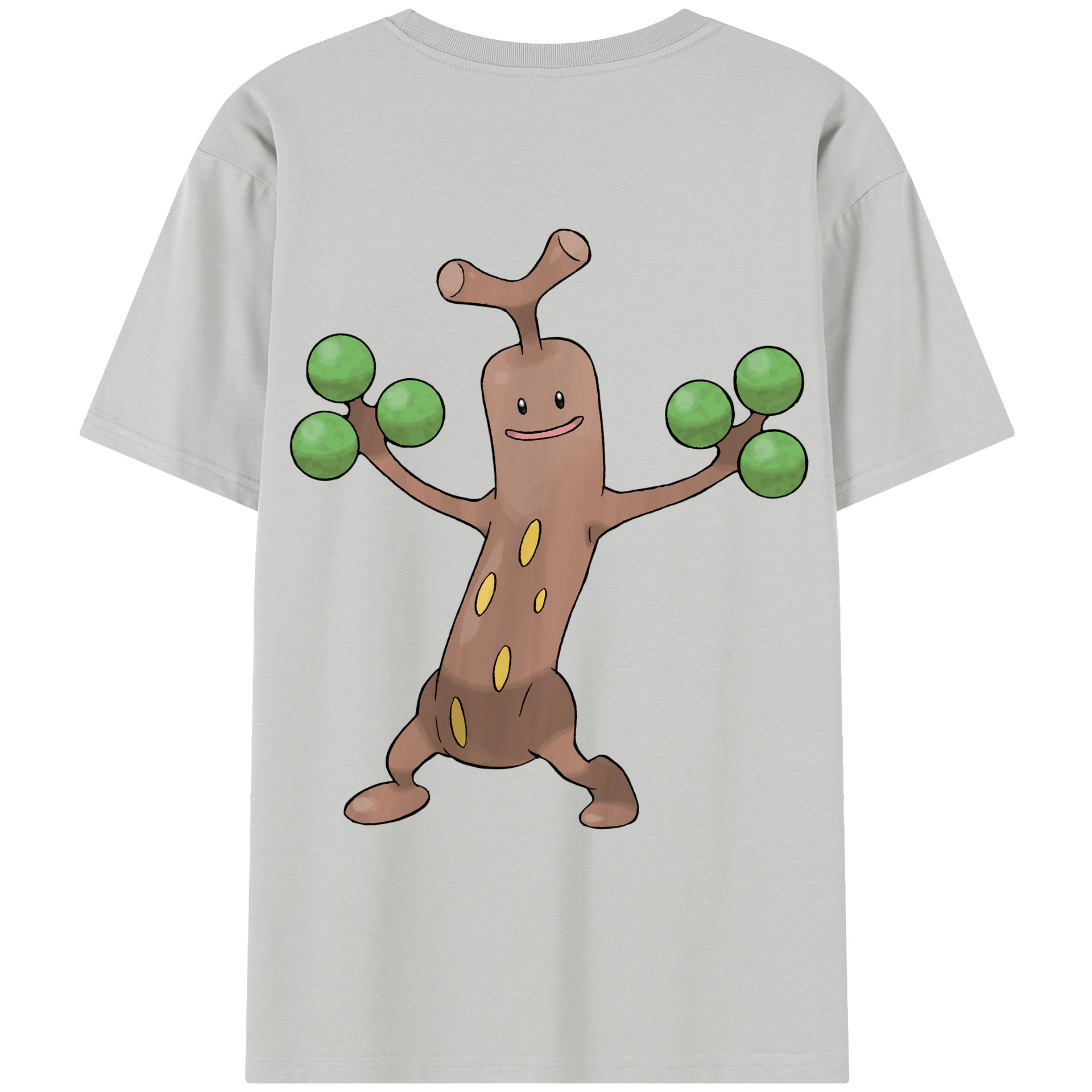 （画像用） ポケットモンスター Pokémon レディース半袖Tシャツ(バックプリント)